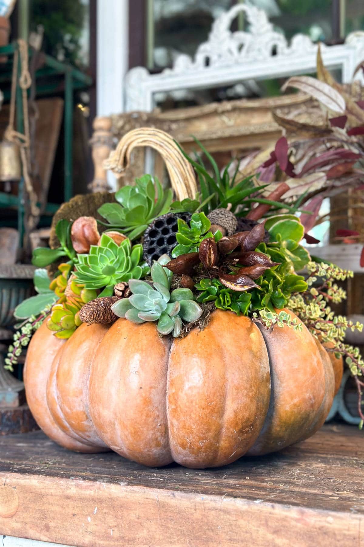 A decorative pumpkin used as a planter holds an arrangement of succulents and greenery. The display is set on a wooden surface with a rustic background, including a mirror and hanging items.