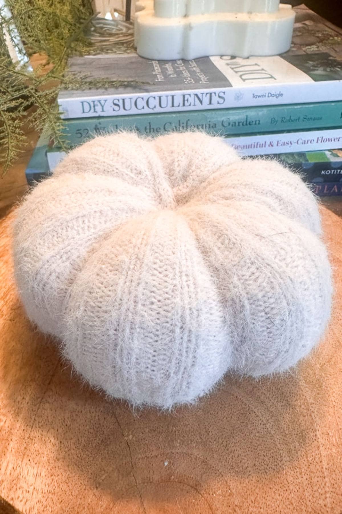 A fluffy, cream-colored knitted pumpkin sits on a wooden surface, surrounded by books on DIY succulents, gardening, and flower arrangements. Greenery peeks out from the side, adding a touch of nature to the cozy arrangement.