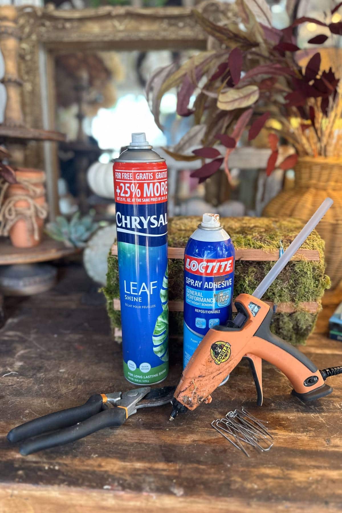 A table with crafting supplies, including a large can of leaf shine, a smaller can of spray adhesive, a glue gun with glue stick inserted, a pair of pliers, and some paperclips. A moss-covered box and potted plants are in the background.