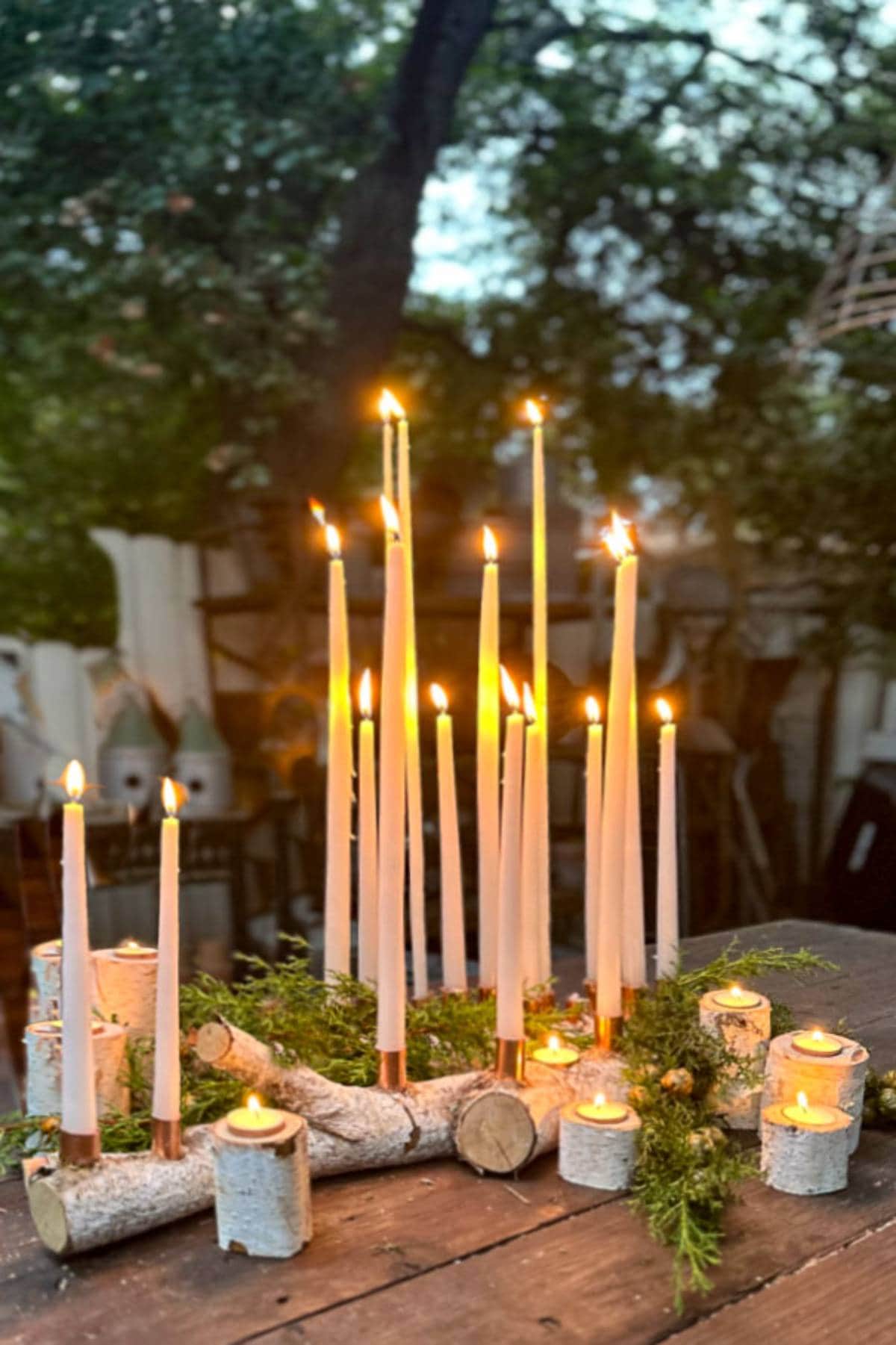 A collection of tall, slender candles with warm flames arranged on a wooden outdoor table. They are surrounded by birch logs and greenery, creating a cozy and rustic ambiance in a garden setting.