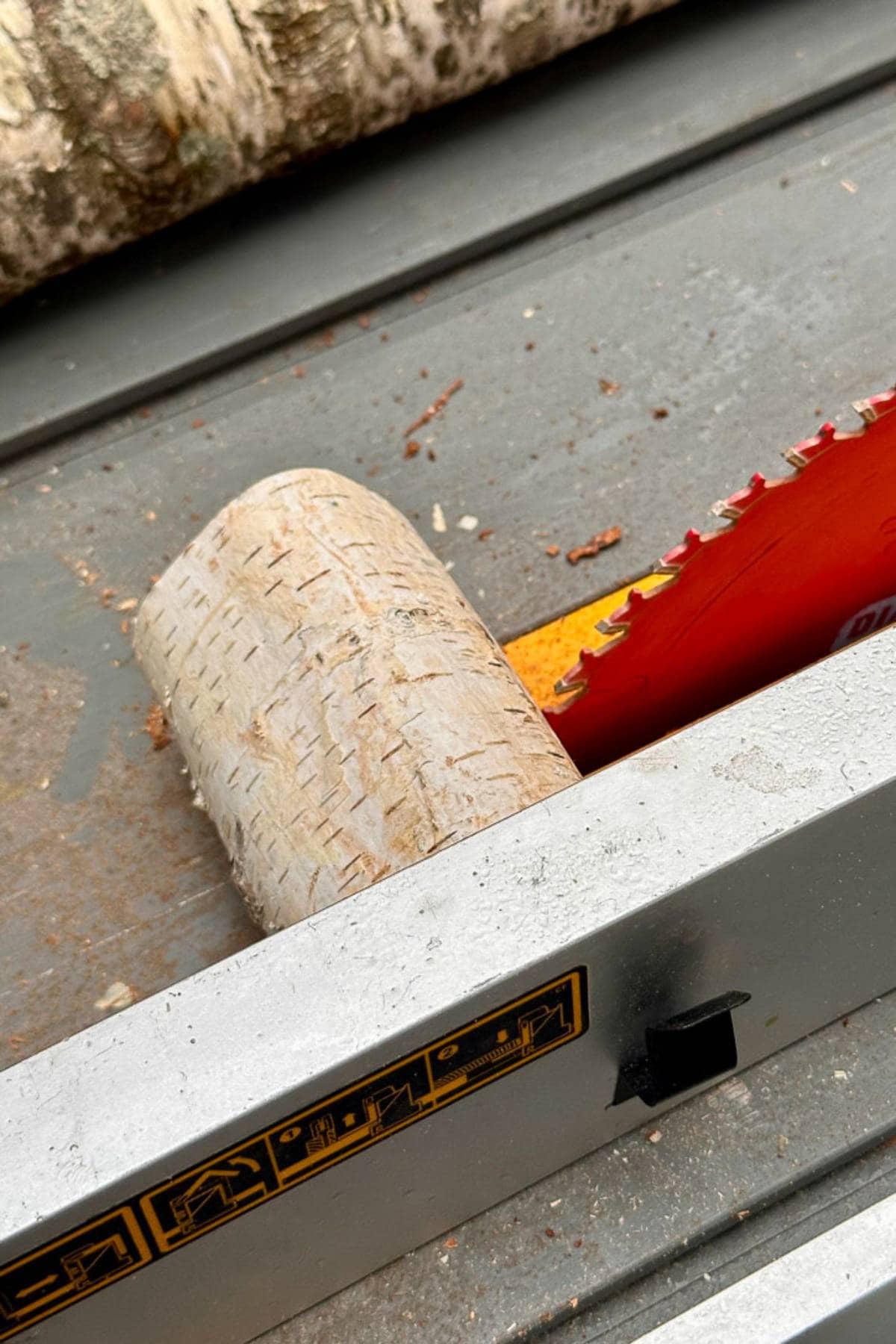 A piece of birch wood is positioned against the blade of a table saw, ready for cutting. The saw's red circular blade is partially visible. Sawdust and wood shavings are scattered around the area.