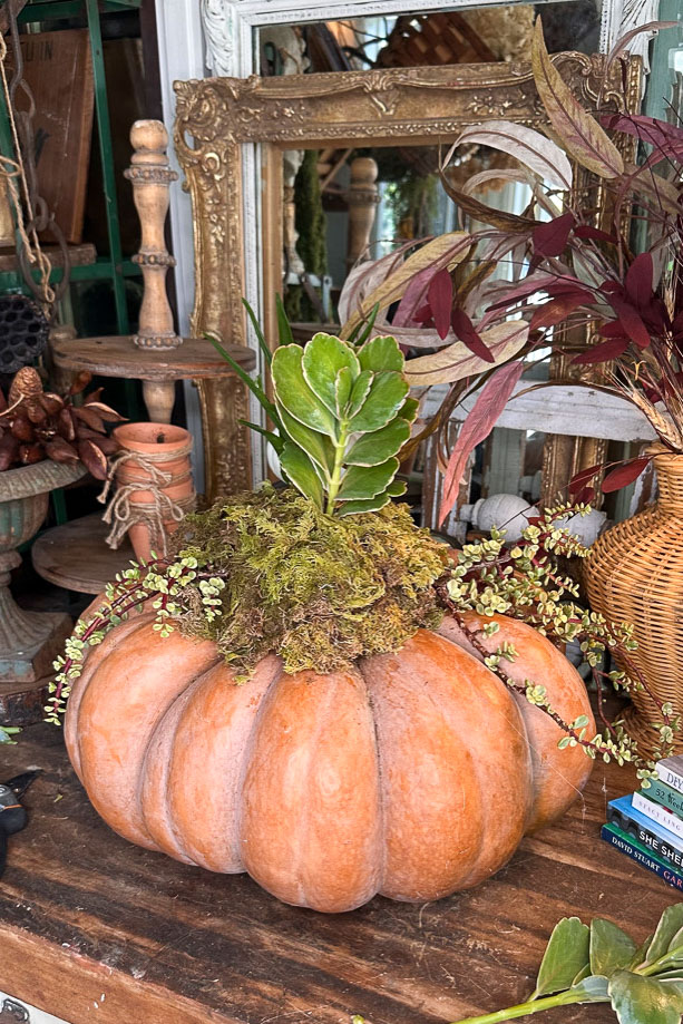 A large orange pumpkin is used as a planter, filled with moss and greenery. It sits on a wooden table with decorative items, books, and a mirror in the background.