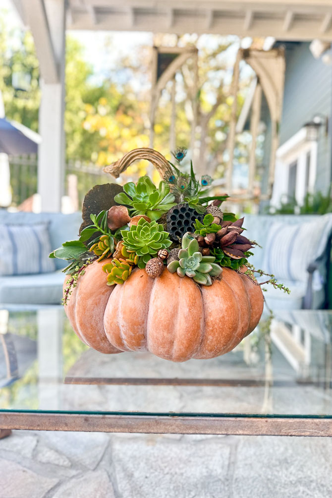 A pumpkin centerpiece filled with various succulents and greenery sits on a glass table. The background features an outdoor seating area with cushioned chairs and a wooden structure.