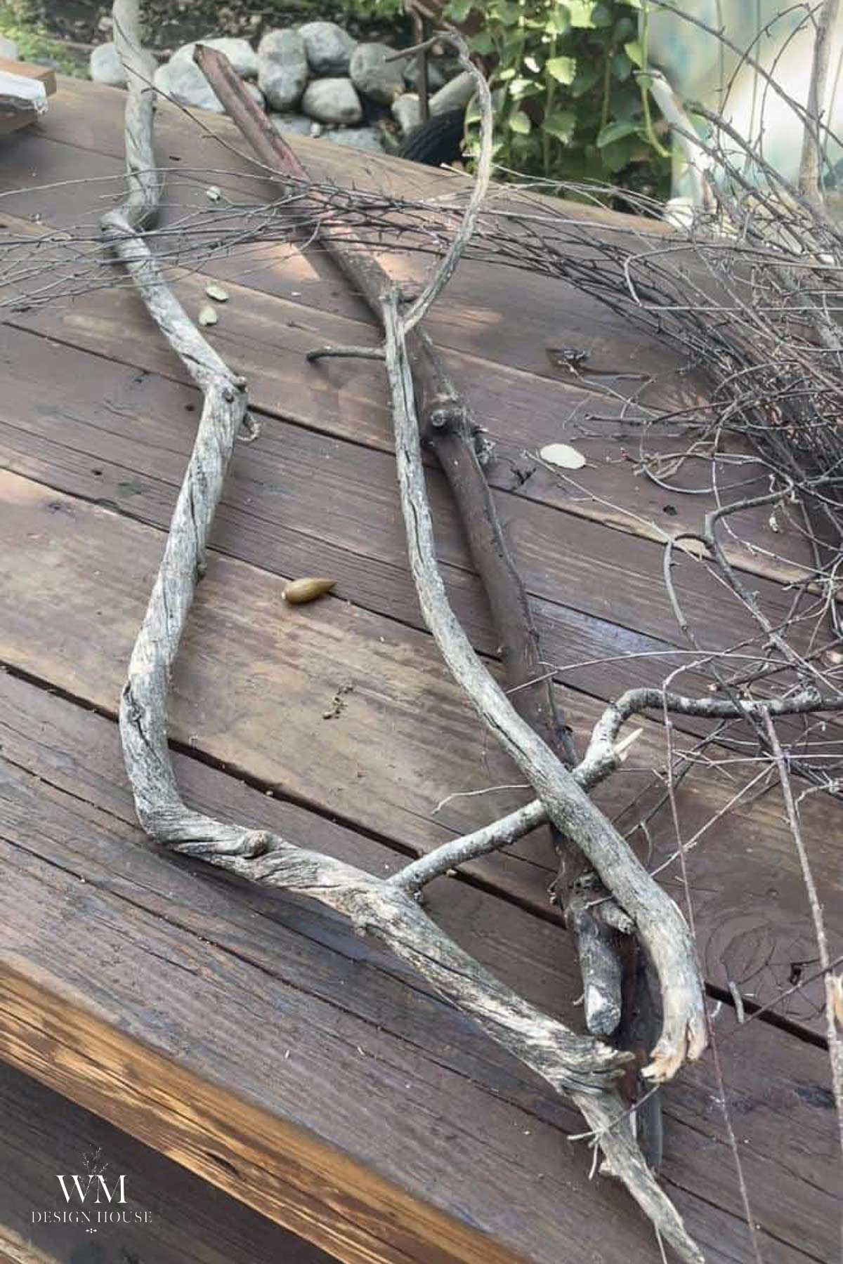 Two twisted, dry branches lie on a weathered wooden surface outdoors, with small sticks, leaves, and rocks scattered around, perfect natural elements for DIY Halloween decor. In the background, shrubs and stones are partially shaded by sunlight, adding an eerie touch to your spooky outdoor setup.