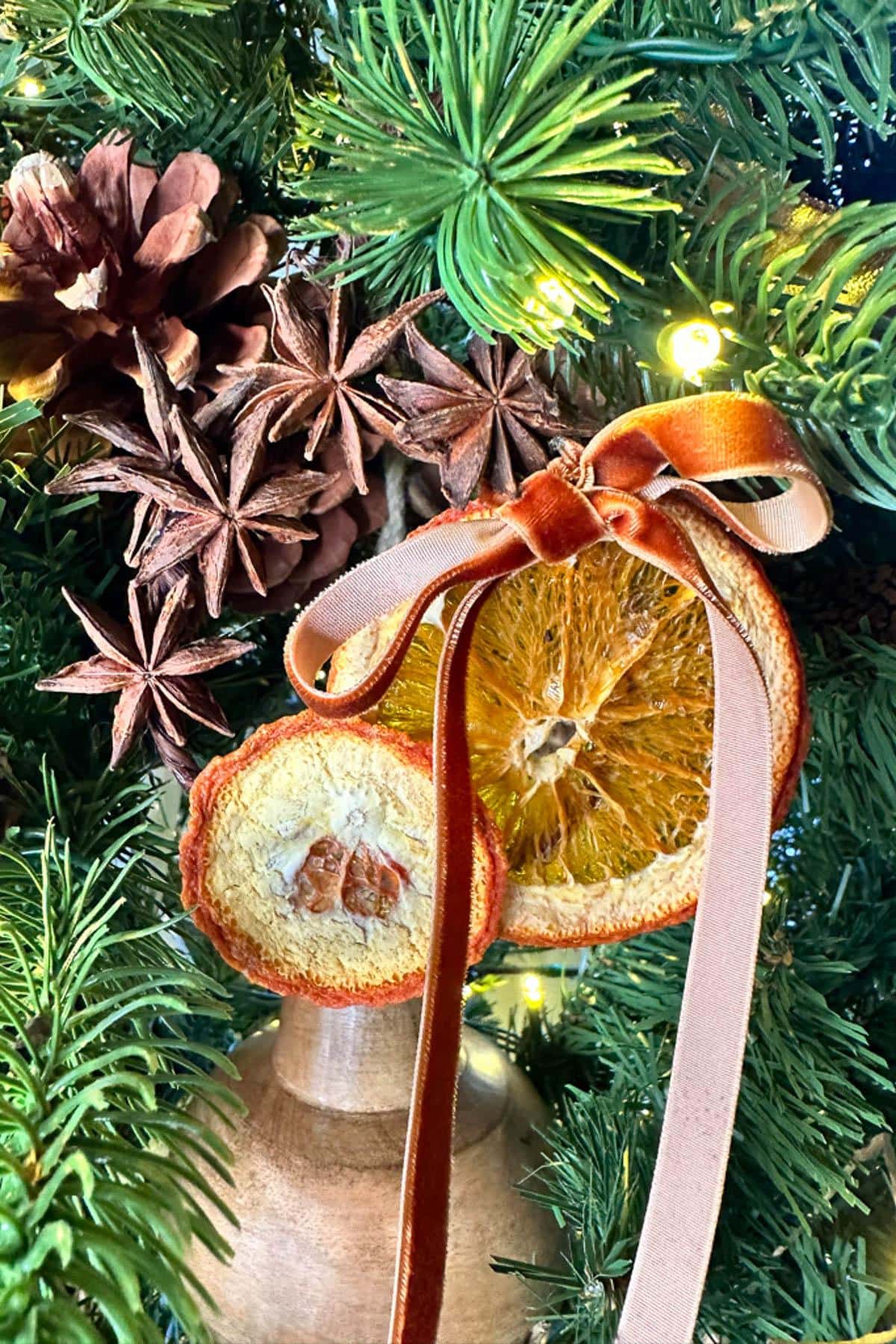 Close-up of a Christmas tree decorated with dried orange slices, star anise, and a pinecone. A ribbon-tied ornament is hanging nearby, surrounded by lush green branches and soft lighting.