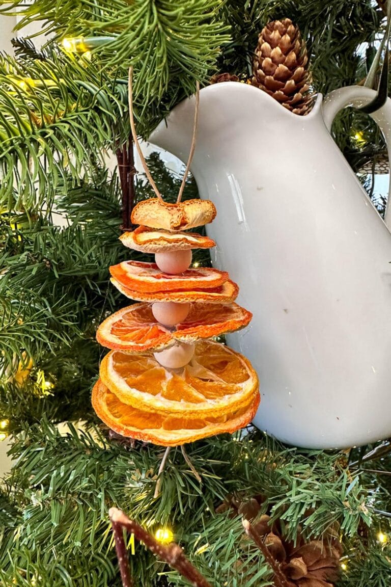 Dried orange slices and nuts are strung together as a festive ornament, hanging on a Christmas tree. A white jug and pine cone are visible in the background, surrounded by other greenery.