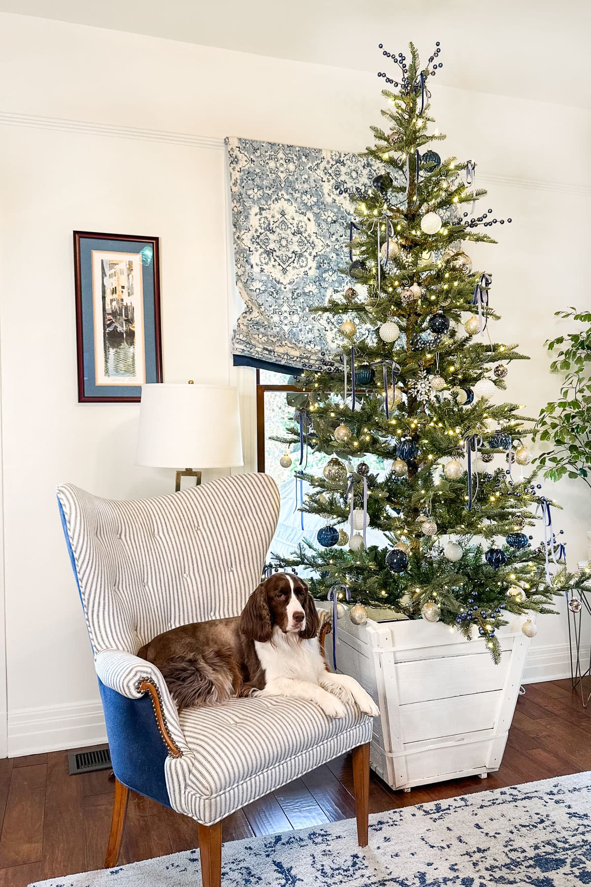 A brown and white dog rests on a striped armchair next to a decorated Christmas tree with white and blue ornaments. The tree sits in a white crate. A patterned curtain and framed artwork are visible in the background.