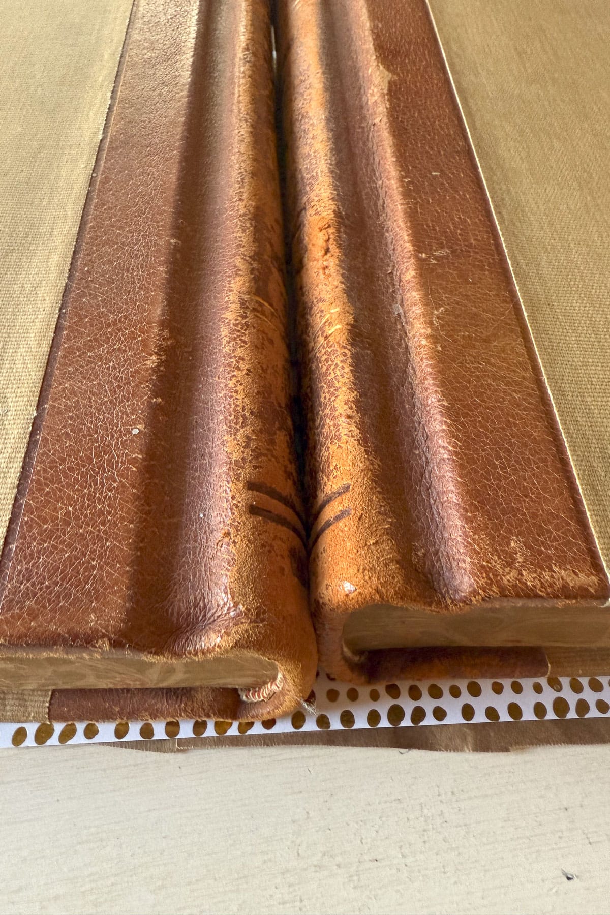 Close-up of two worn, textured brown book spines with visible cracks, resting on a dotted paper surface.