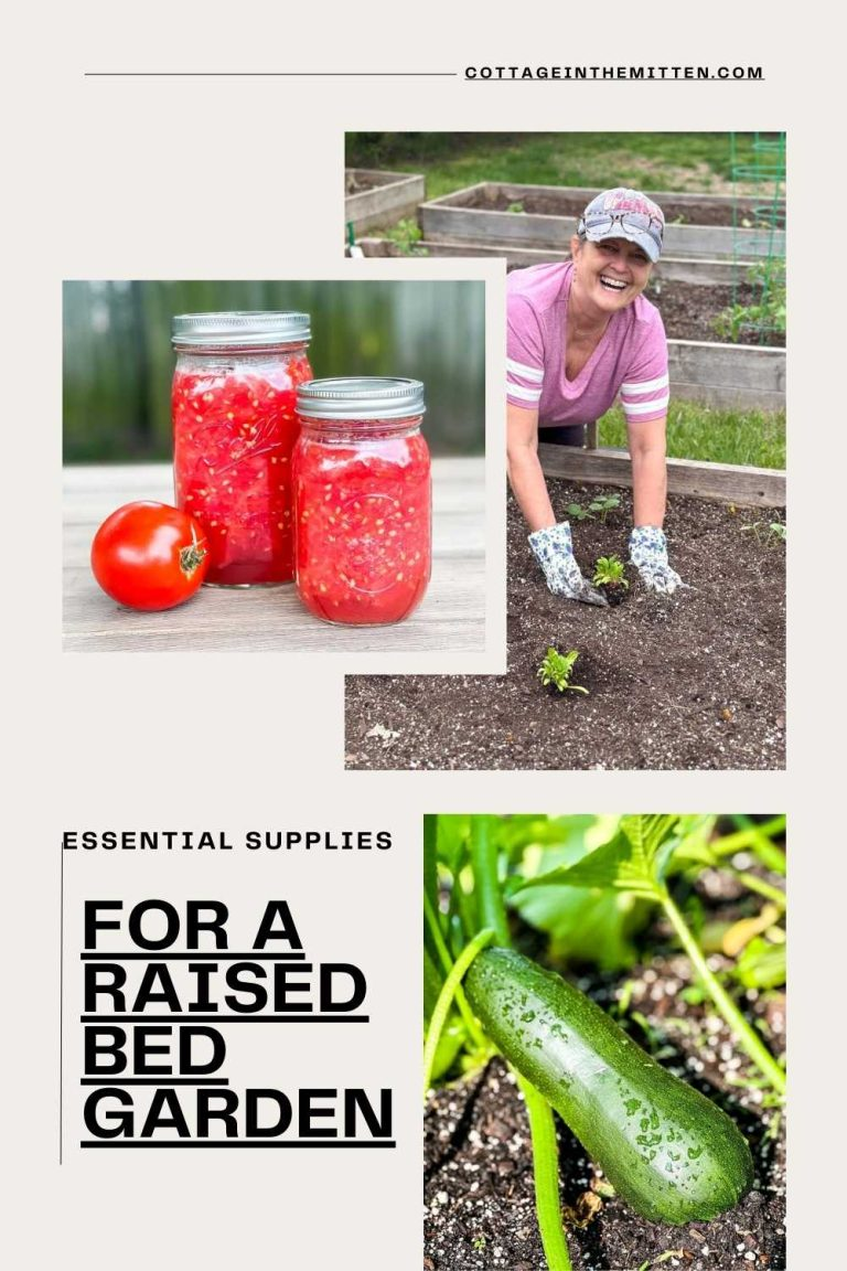 Collage of gardening: tomato jars, a woman planting in raised beds, and a close-up of a cucumber on the vine. Text reads "Essential Supplies for a Raised Bed Garden" with a She Shed vibe as your Sunday Sharing space. Visit our website for more inspiration.