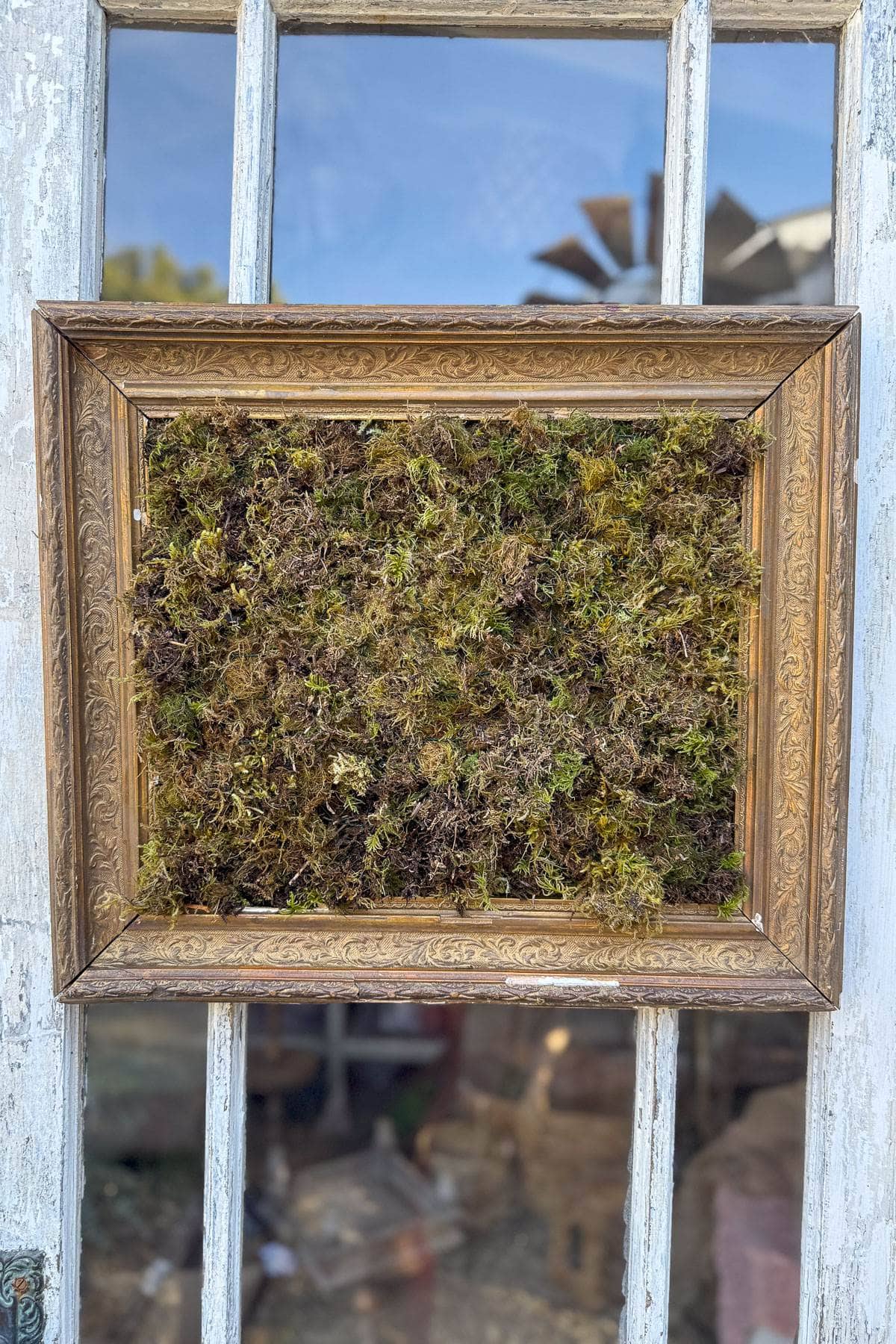 A vintage wooden frame holds a dense patch of moss, mounted on a rustic door with glass panels. The scene has a natural, earthy aesthetic, combining elements of nature with an antique frame.