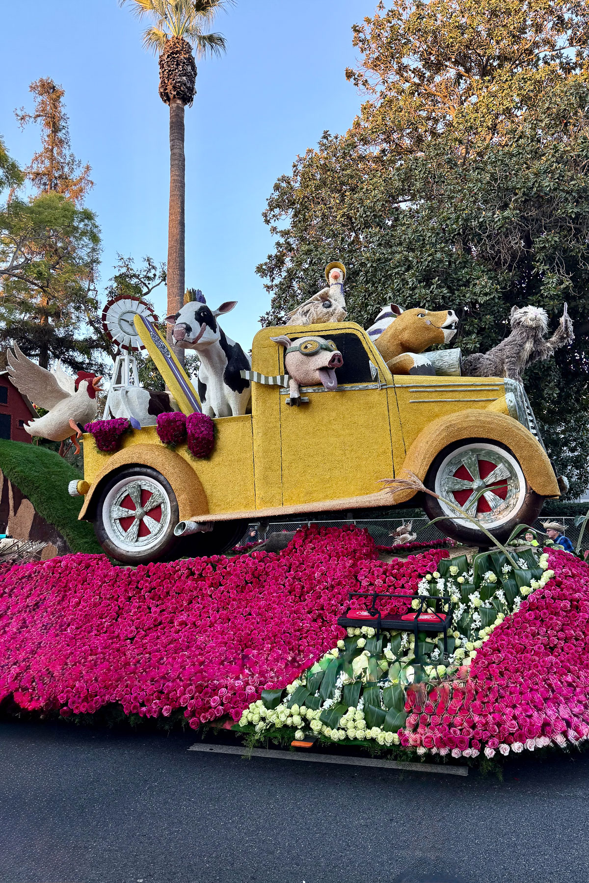 A vibrant float features a yellow truck adorned with various farm animals like a cow, chicken, and sheep, all crafted from flowers. The truck is surrounded by a bed of red and white roses, set against a background of trees and a palm tree.