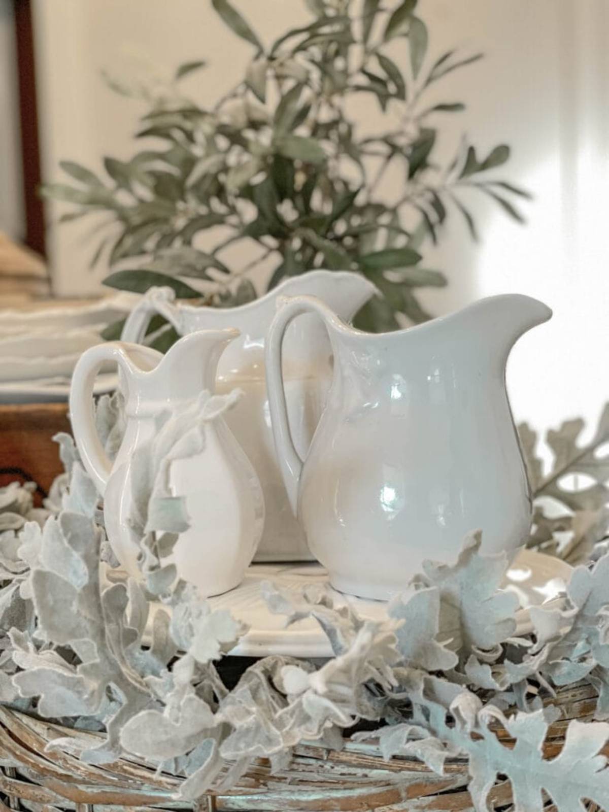 A trio of white ceramic pitchers is artfully arranged on a table, surrounded by gray-green leafy branches. An olive tree plant adds a touch of greenery in the background, creating a serene, natural setting.