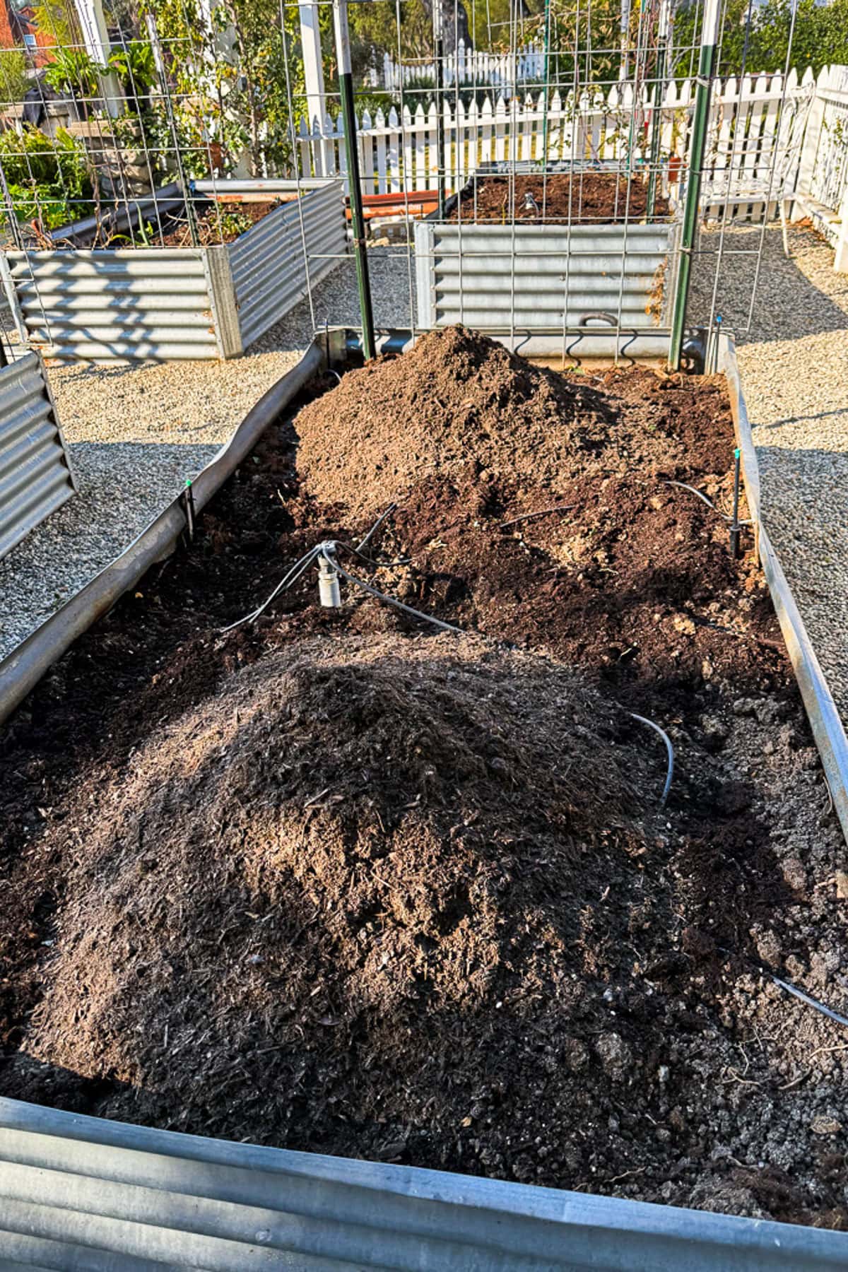 Raised garden beds filled with dark soil, ready for planting. The beds are made of corrugated metal, surrounded by a gravel path. A small irrigation system is visible, and a white picket fence encircles the garden area.