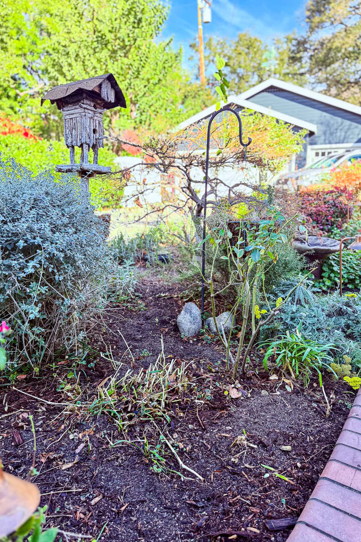 A vibrant garden scene with a rustic birdhouse on a pole surrounded by various plants and shrubs. In the background, there's a house partially visible amid lush green foliage under a clear blue sky.