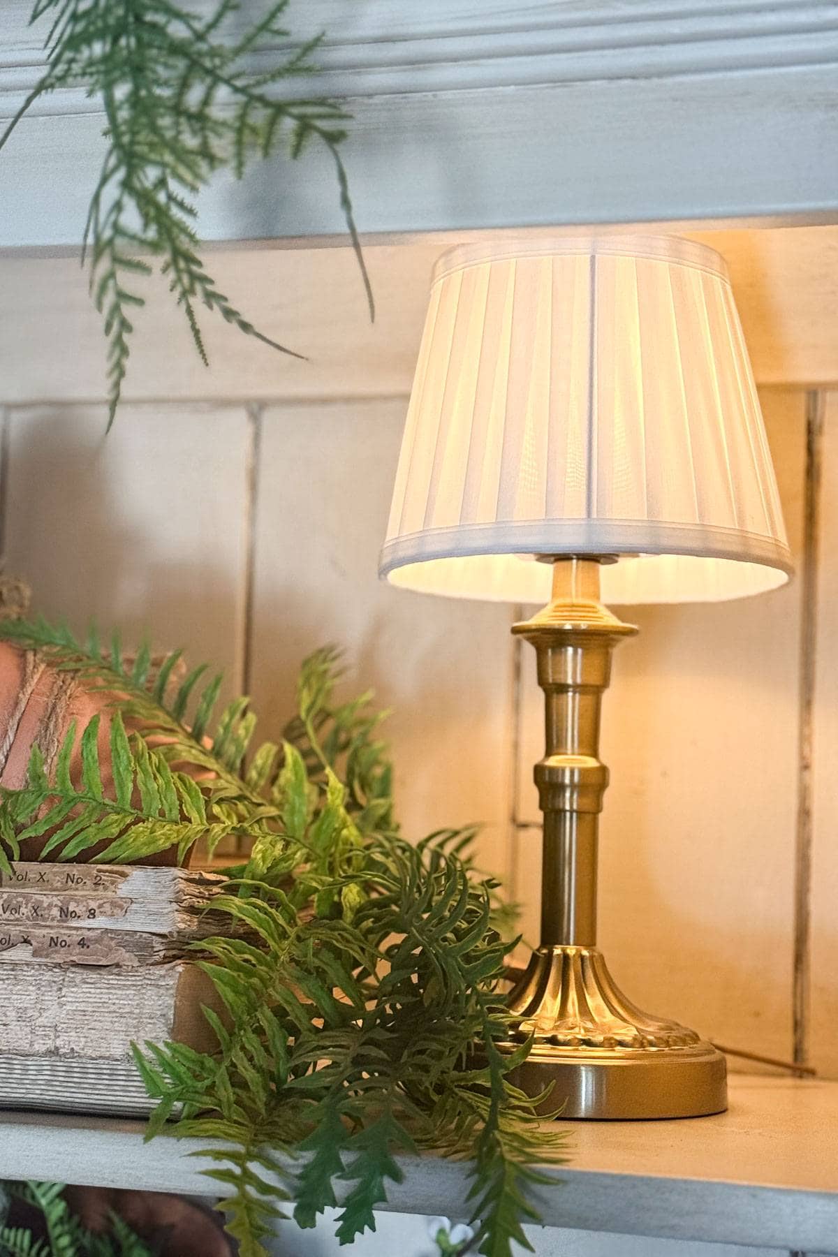 A brass table lamp with a pleated shade emits a warm glow. It sits on a wooden shelf beside green fern leaves and a stack of vintage books, creating a cozy and rustic ambiance.