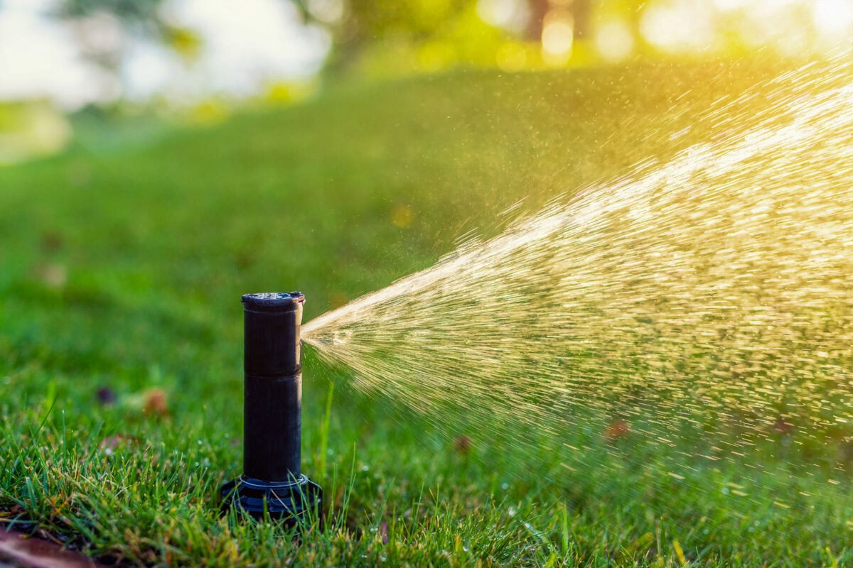 A lawn sprinkler waters lush green grass, with sunlight creating a warm glow in the background. Drops of water are visible, highlighting the spray's direction.