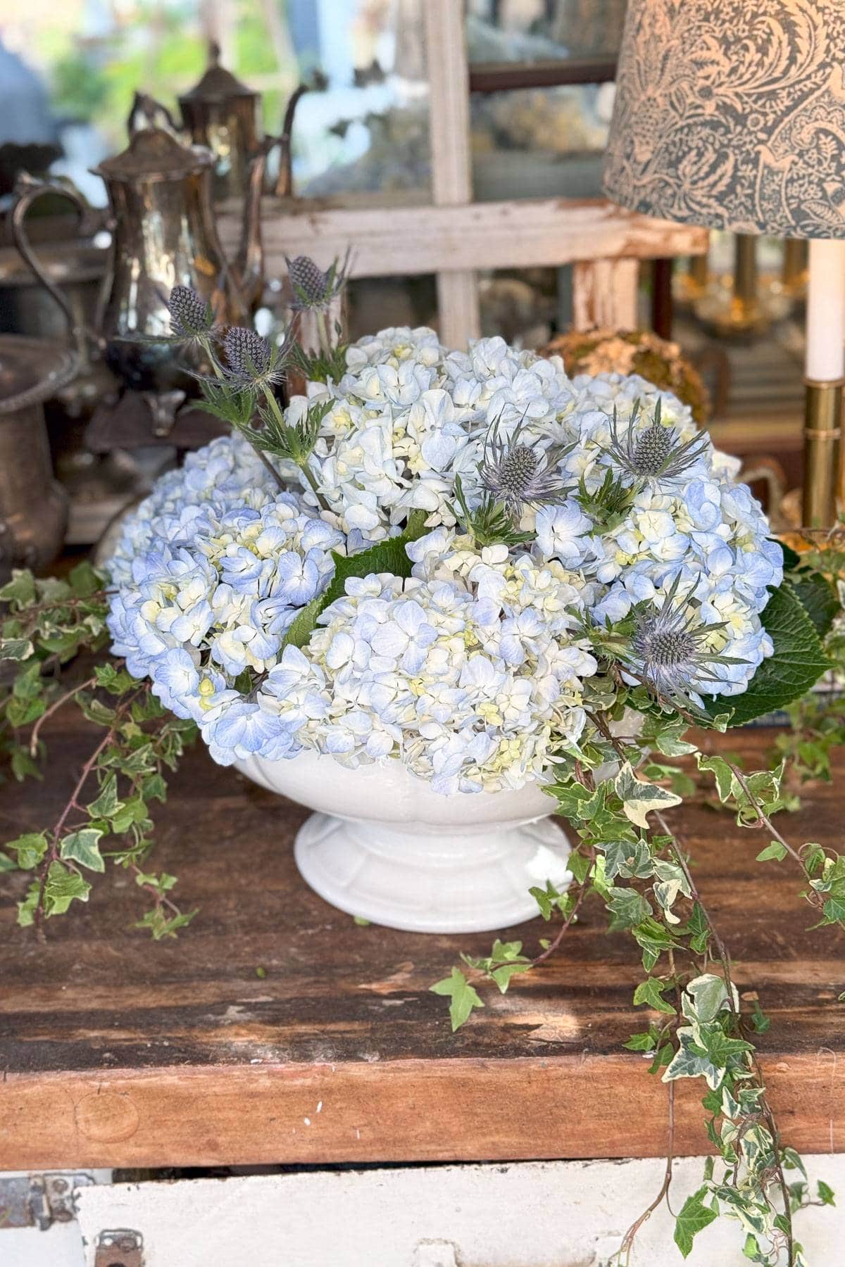 A white ceramic bowl filled with light blue hydrangeas and spiky thistle flowers. Ivy strands drape over the edge. The arrangement sits on a rustic wooden table with a silver teapot, lamp, and window in the background.