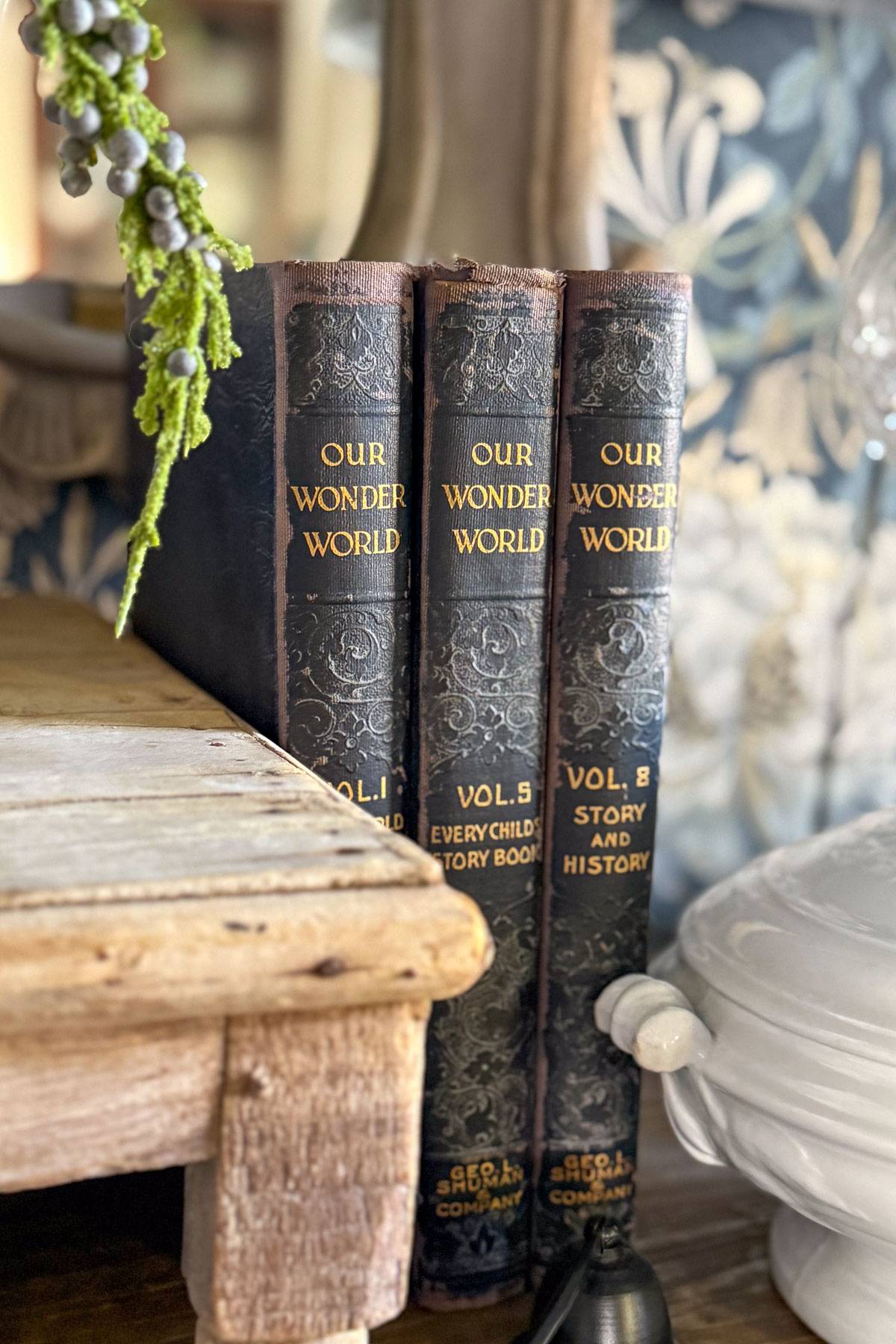 Three vintage books titled "Our Wonder World" are displayed on a wooden shelf. The books are labeled as Volume 1, Volume 5, and Volume 8. There's a decorative plant above and a lamp beside them, with a floral-patterned background.