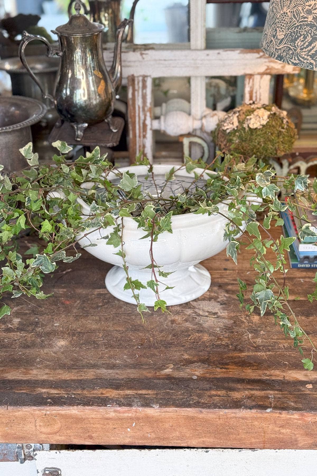 A white ceramic bowl with ivy cascading over the sides sits on a wooden table. Behind it, there's a silver teapot, a rustic wooden frame, and a vintage lamp with a patterned shade, creating a quaint, antique vibe.