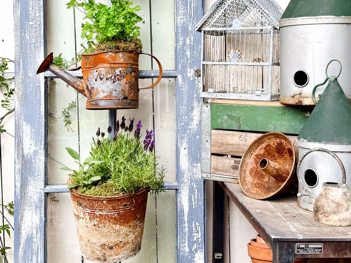 A rustic garden display with metal watering cans and pails used as planters on a weathered blue ladder, next to old birdhouses, an empty birdcage, and garden tools on a wooden shelf.