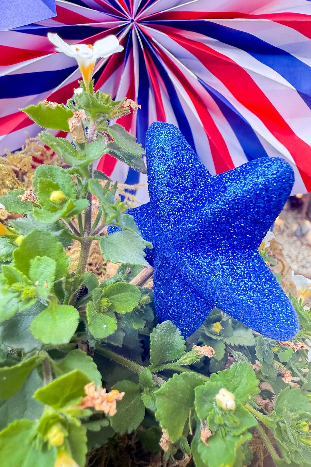 A glittery blue star decoration sits among green leaves and a white flower, with a red, white, and blue pinwheel in the background.