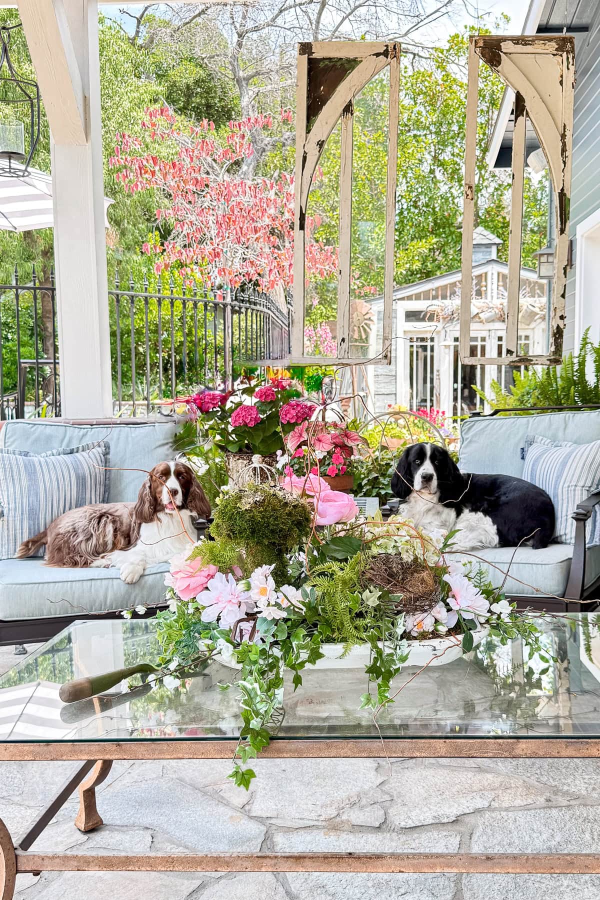 Two dogs are relaxing on a light blue outdoor sofa with striped cushions on a patio. The glass table holds flower arrangements, adding to the easy porch decor. Pink flowers and garden scenery complete these charming summer porch decorations.