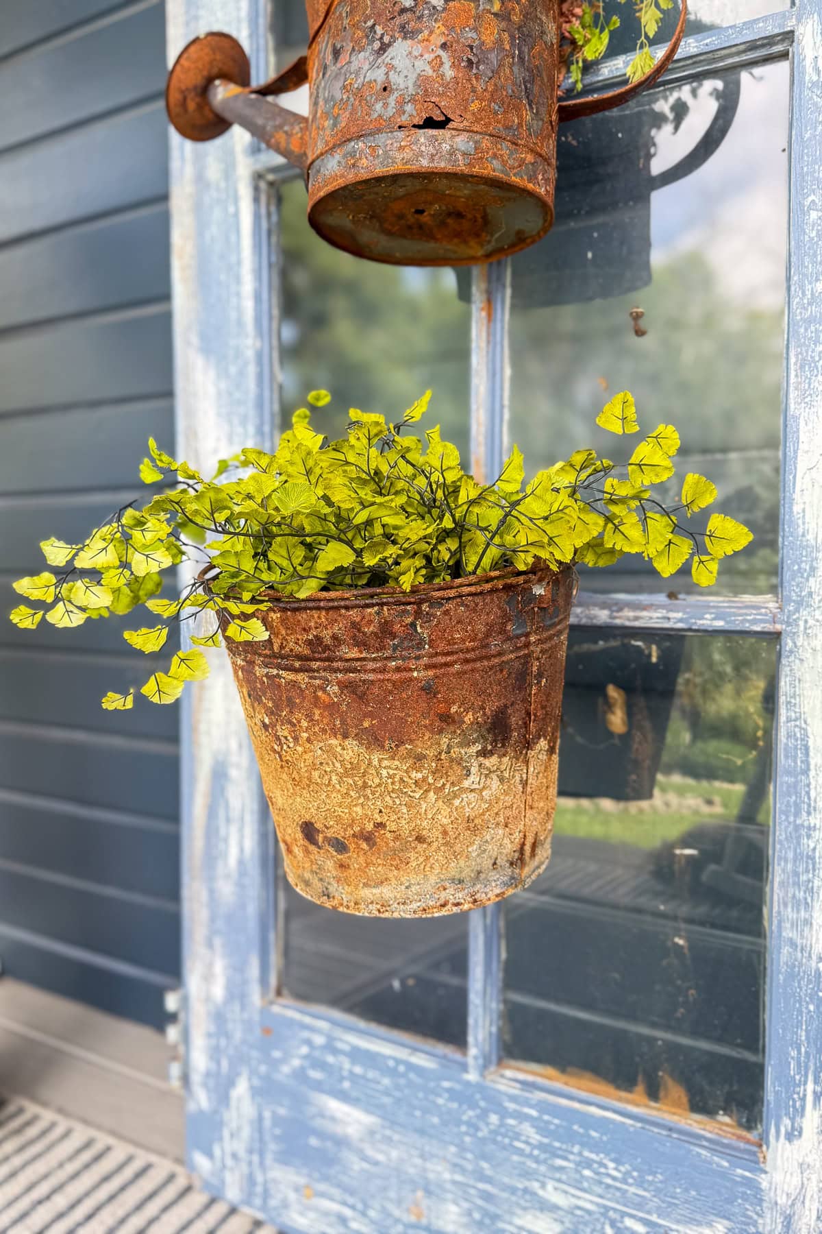 A rustic, rusted metal bucket holding a leafy green plant hangs on a weathered blue door with glass panes, creating a vintage garden decor look.