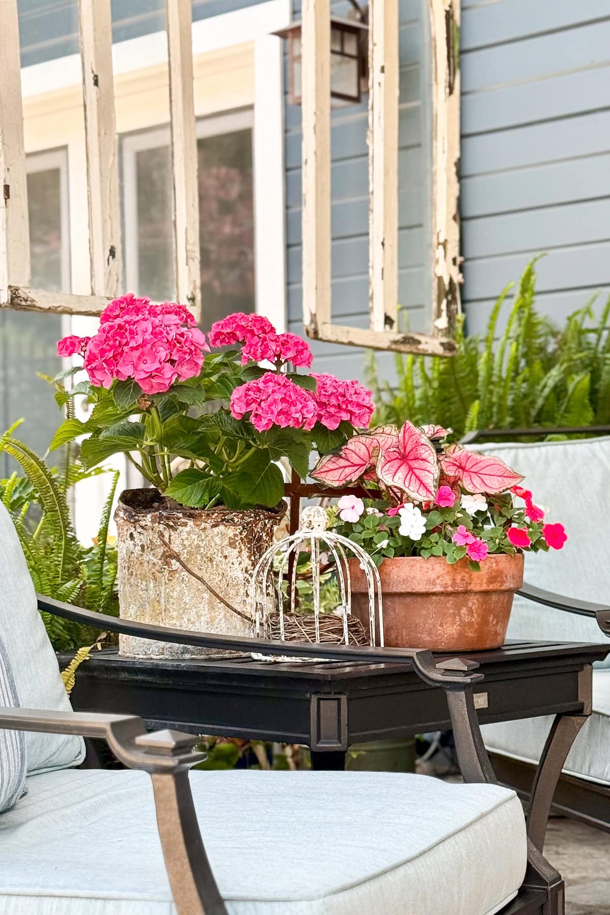 A black metal patio table holds a rustic pot with pink hydrangeas, a terracotta pot with mixed pink and white flowers, and a decorative wire birdcage. Cushioned chairs and green ferns are in the background.