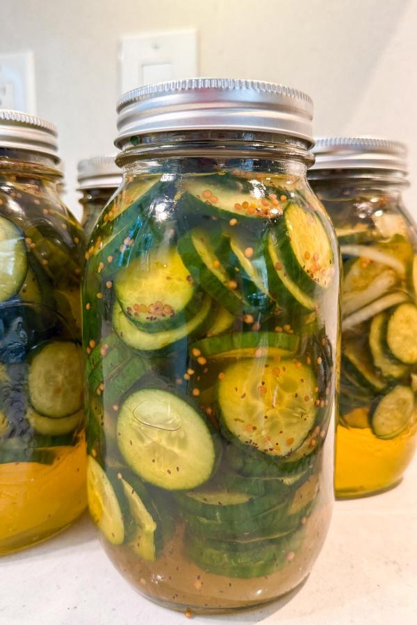 A close-up of jars filled with sliced cucumbers and spices in a yellowish brine, likely homemade pickles, sealed with silver lids and placed on a white surface.