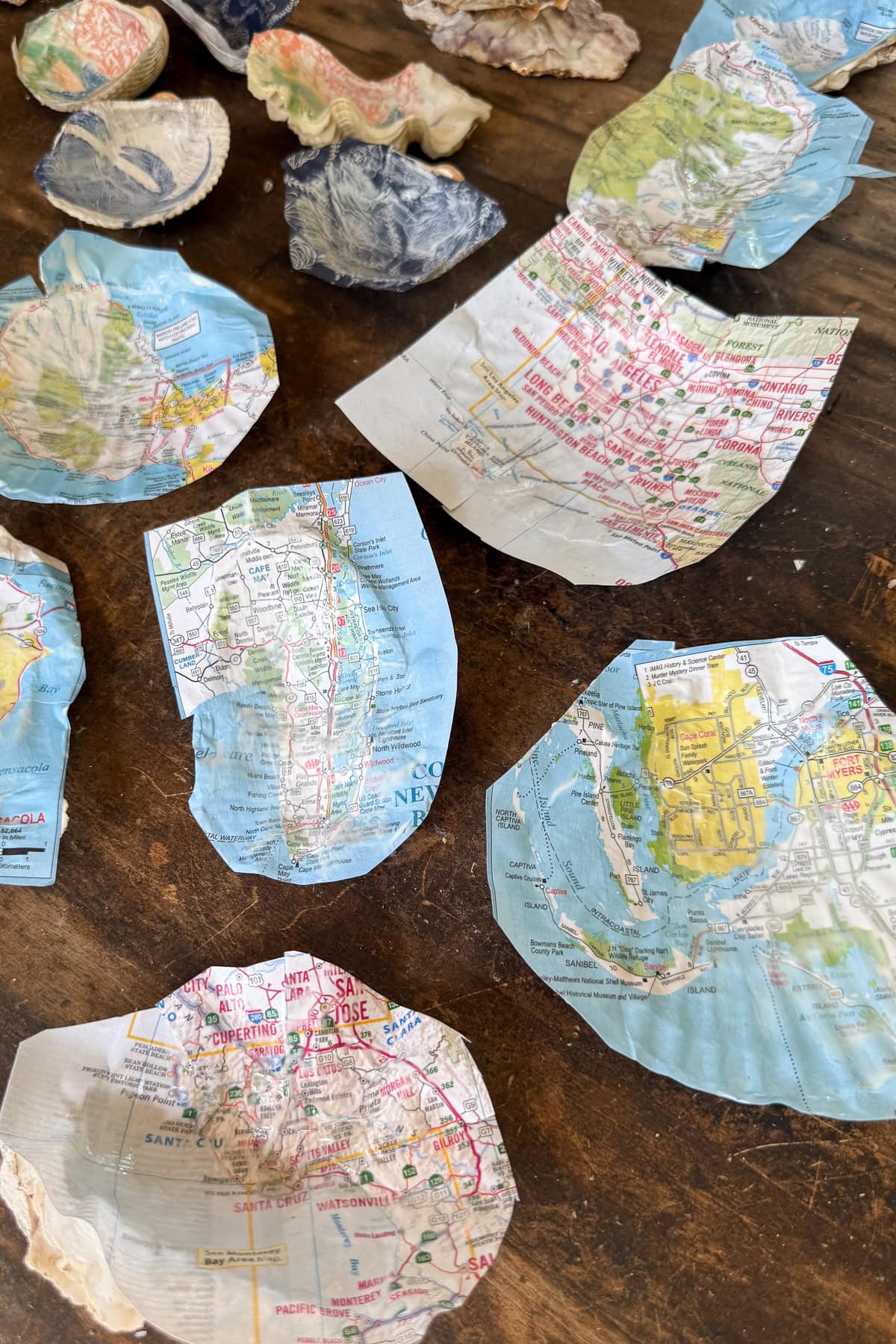 Several seashells covered with pieces of colorful, detailed maps are arranged on a wooden surface. The maps display various cities, roads, and geographical features.