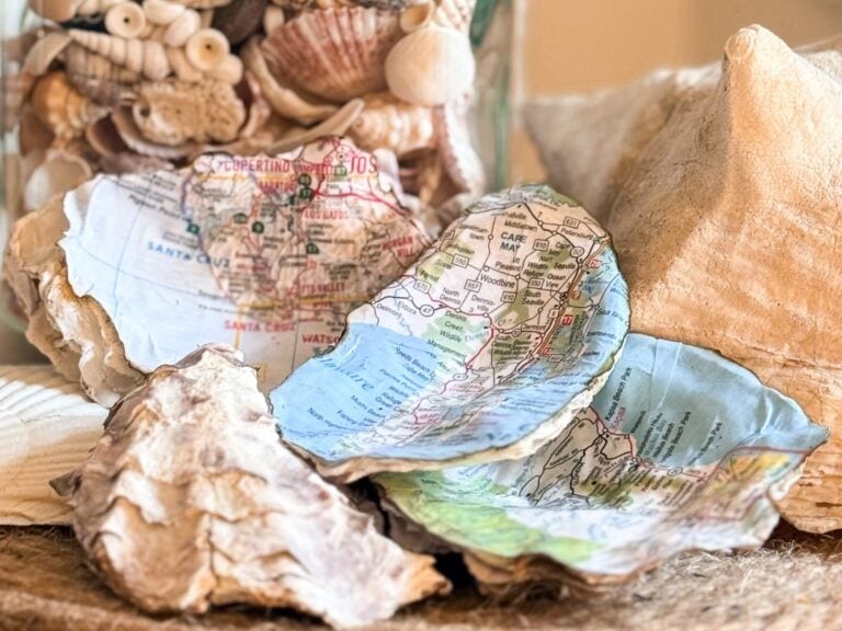Several seashells are displayed on a textured surface, with some shells decorated inside with pieces of colorful, detailed maps. A glass jar filled with more seashells is visible in the background.