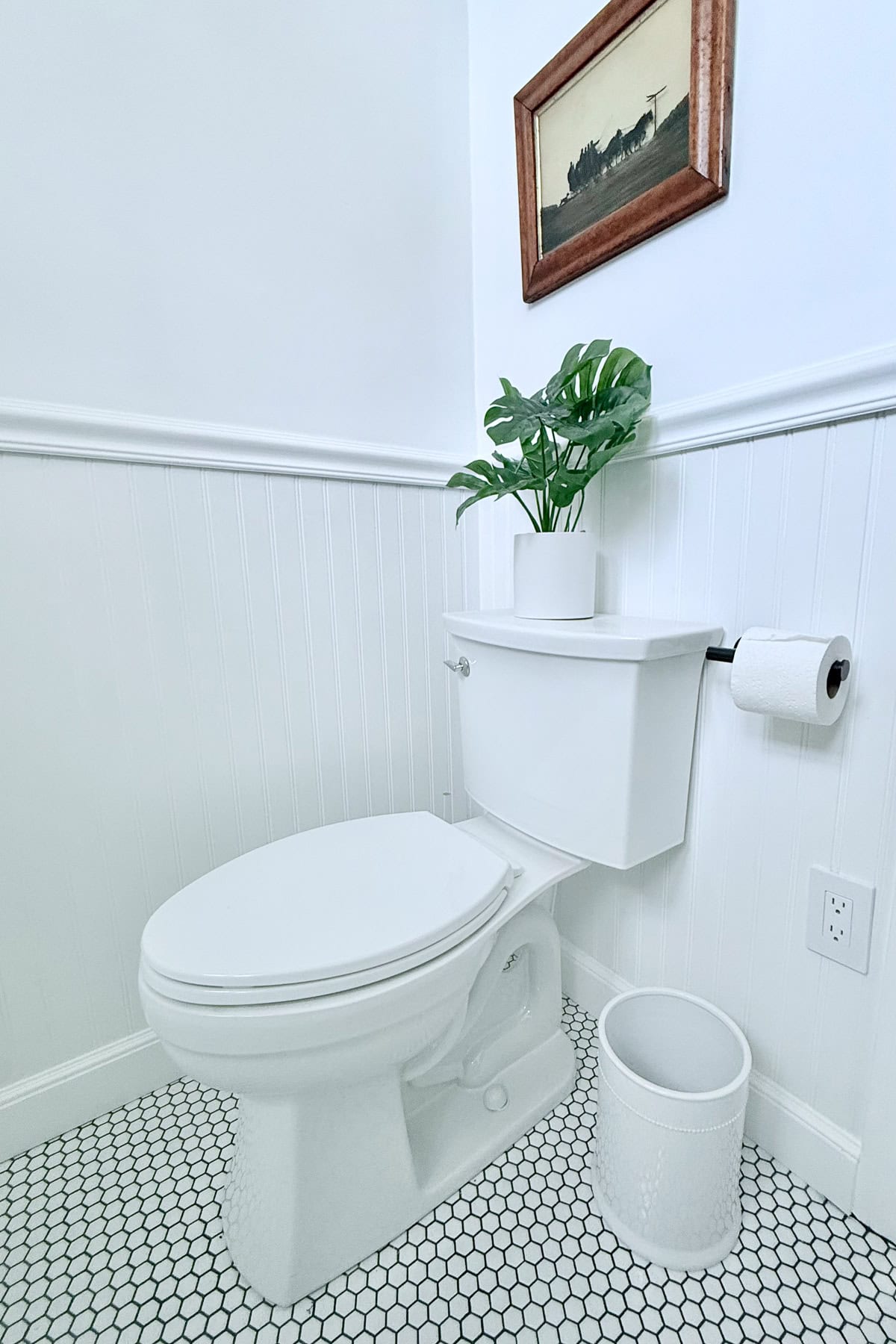A clean, white bathroom with a toilet, a plant on the tank, a roll of toilet paper on the wall, a small white wastebasket, hexagonal floor tiles, and a framed picture above the toilet.