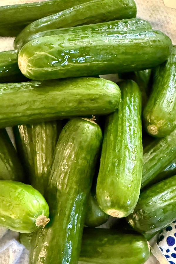 A close-up of several fresh, shiny green cucumbers stacked together on a white surface.