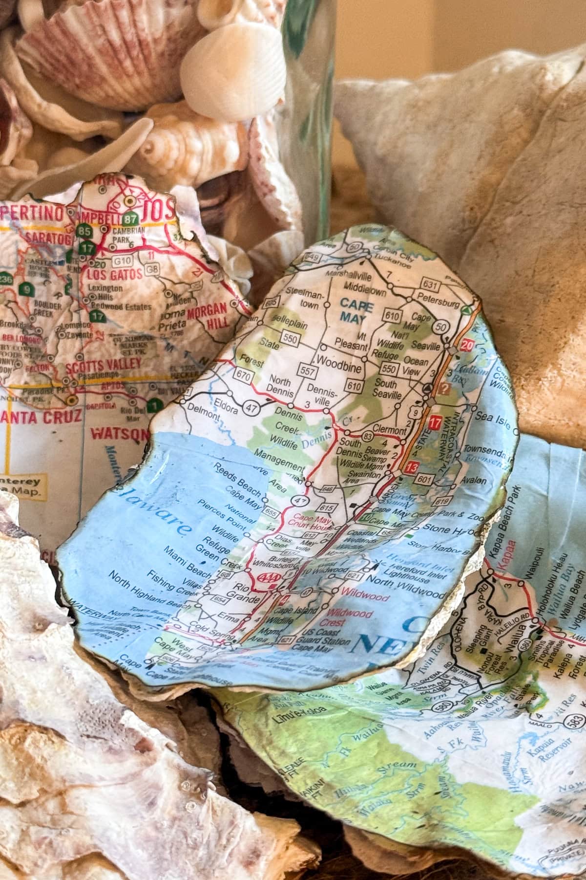 A close-up of seashells, some of which have had pieces of colorful road maps glued inside them, showing locations and road names in coastal areas. The shells rest on a beige surface.