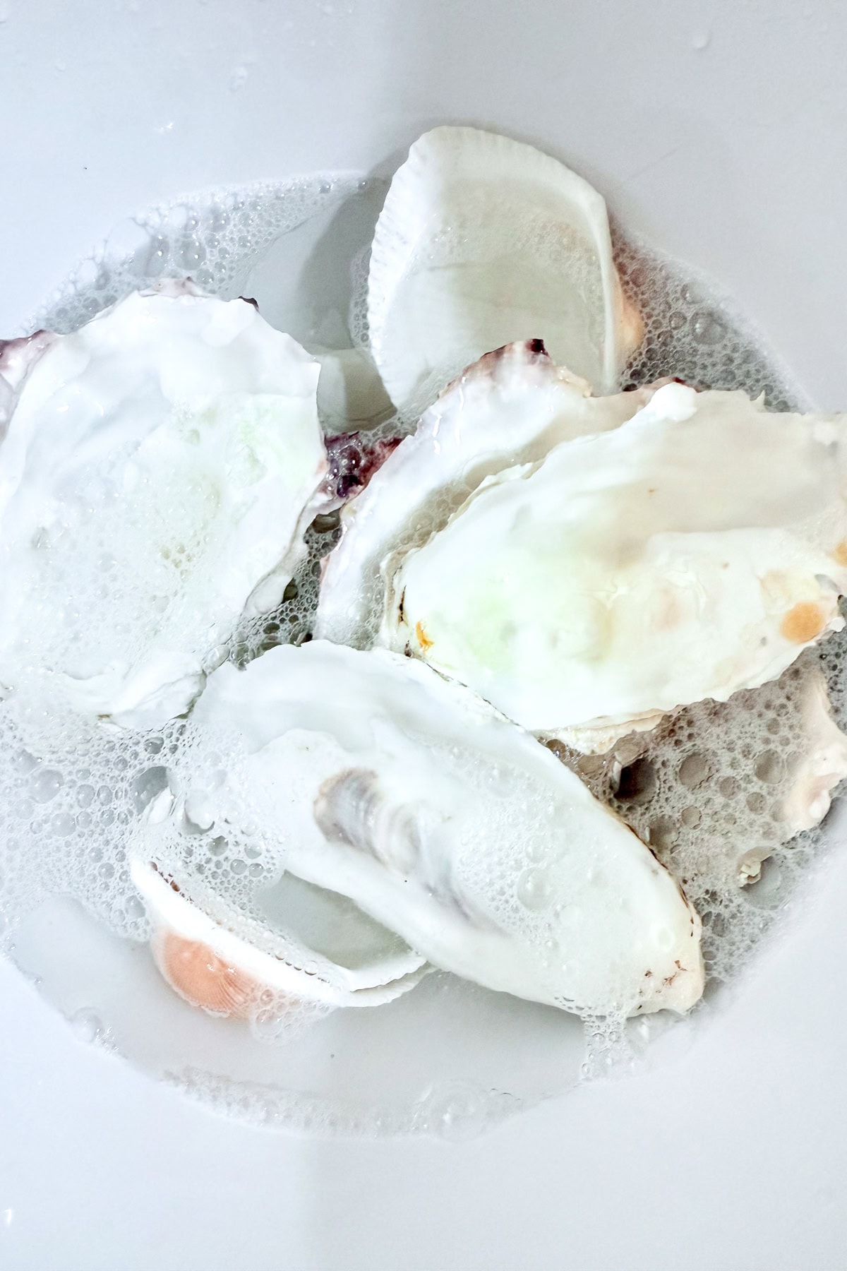 Several white oyster shells are submerged in soapy water, creating bubbles on the surface. The shells are slightly open and scattered randomly in a bowl or sink.