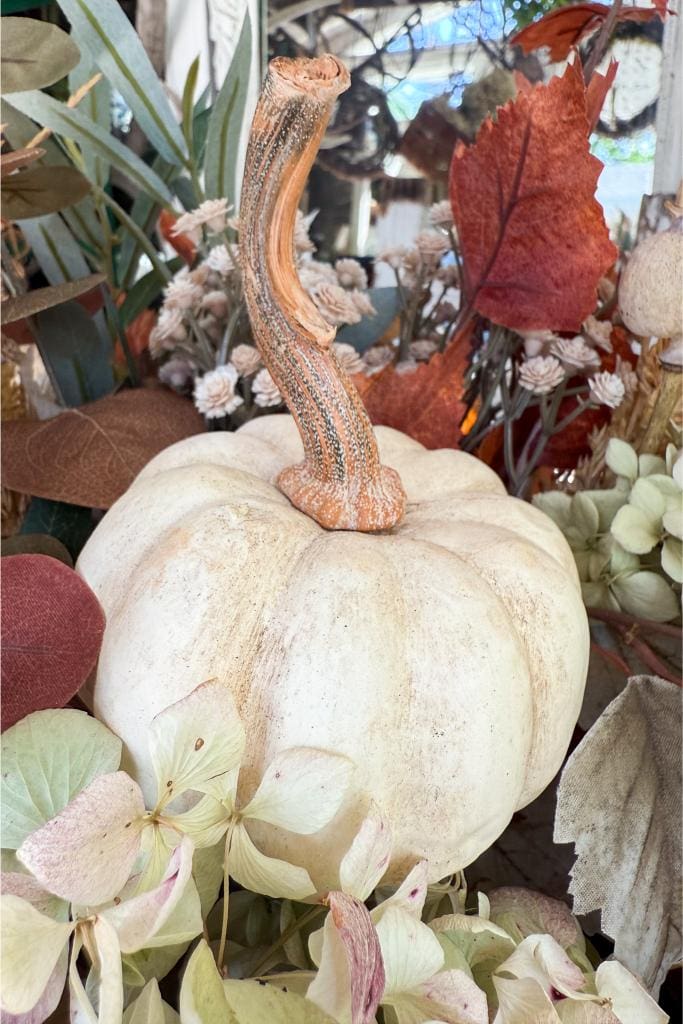 A white pumpkin with a long, curved stem is surrounded by dried flowers and autumn leaves in shades of cream, brown, and orange.