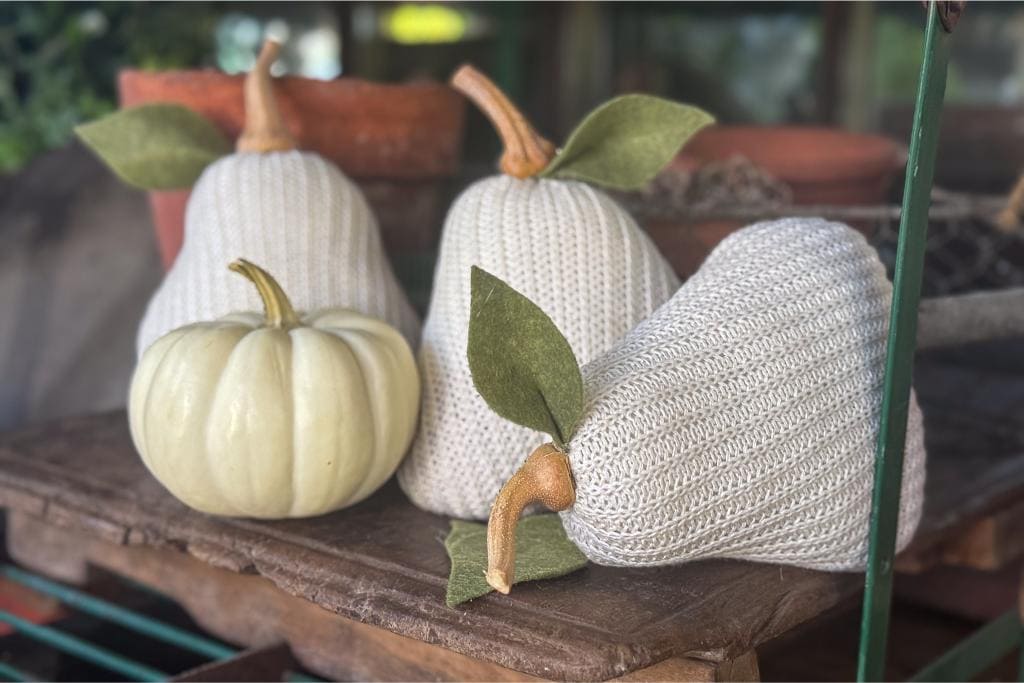 Three fabric pears with knitted white covers and felt leaves sit next to a small white pumpkin, all arranged on a rustic wooden surface with clay pots in the background.