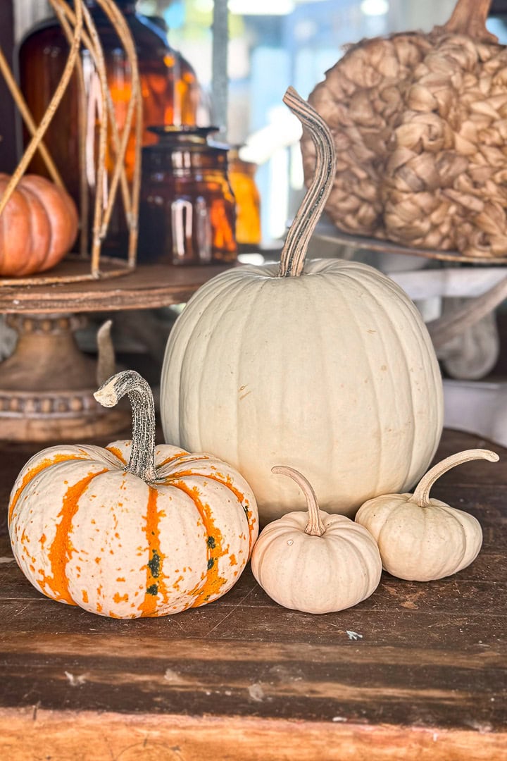 Four pumpkins sit on a wooden surface: one large white pumpkin, one small orange and white striped pumpkin, and two miniature white pumpkins, with glass jars and more pumpkins in the background.