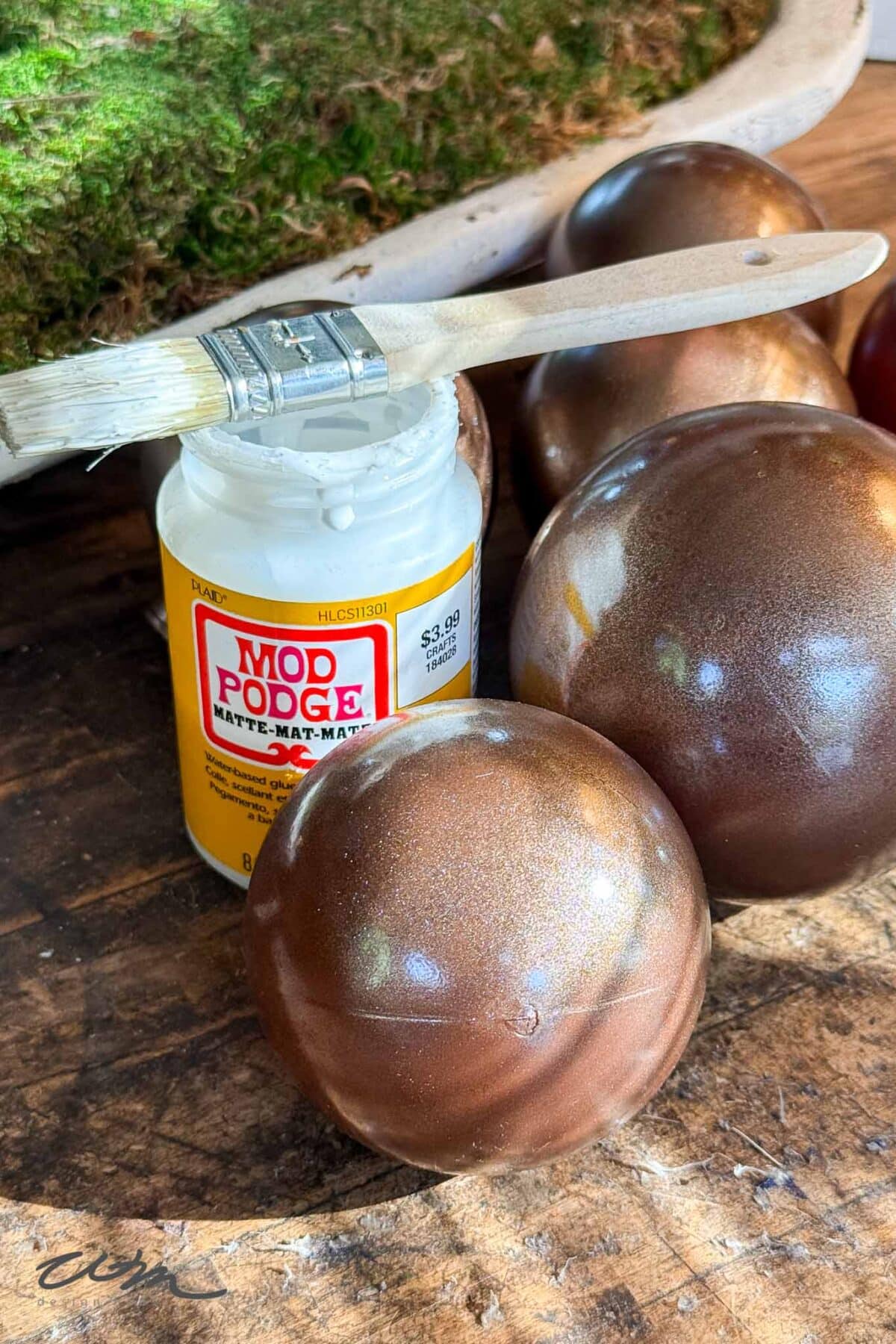 A paintbrush rests on an open jar of Mod Podge on a wooden surface, next to several shiny brown craft ornaments. A piece of green moss is visible in the background.