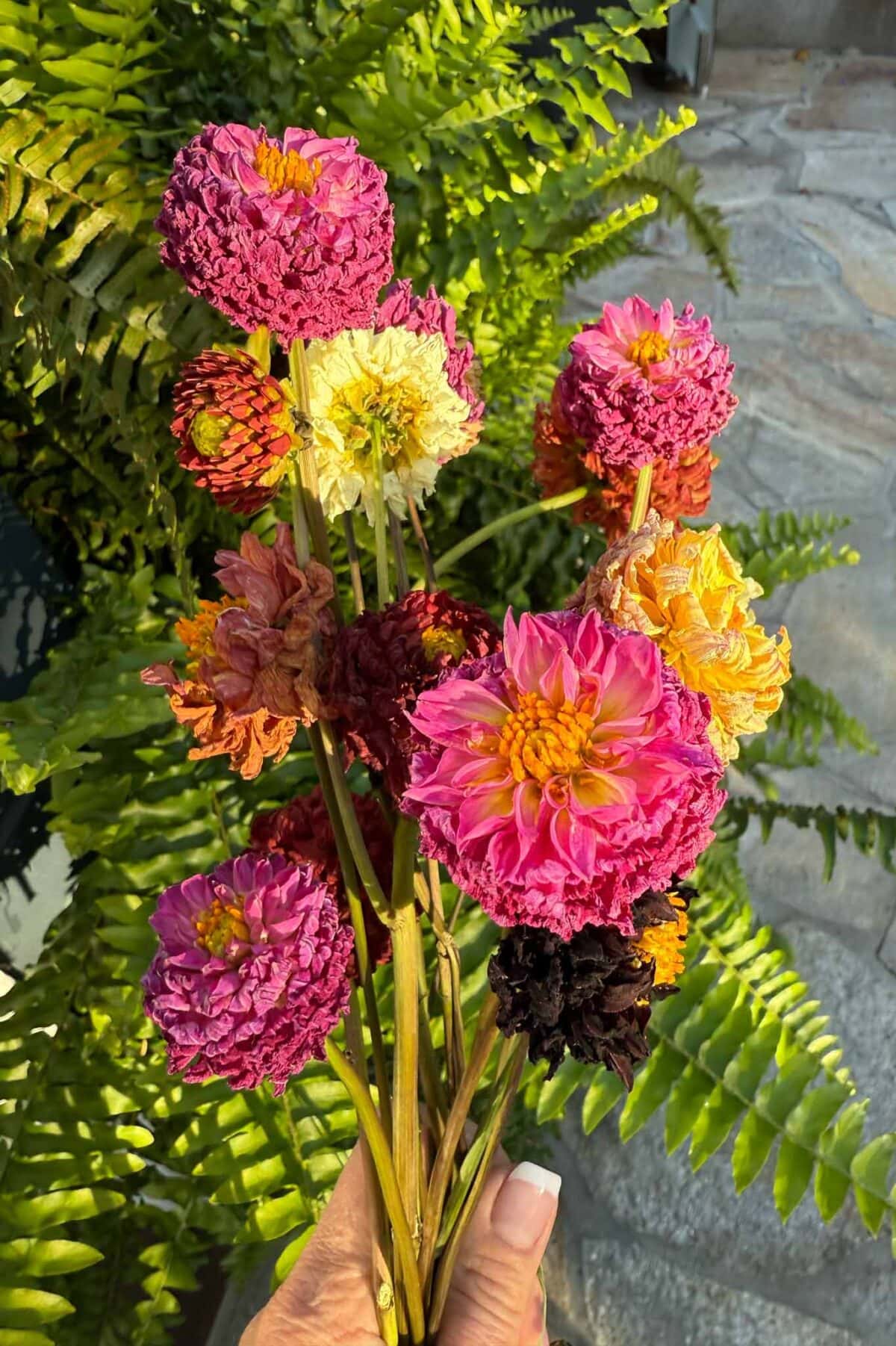 A hand holds a colorful bouquet of dried flowers in shades of pink, yellow, orange, and purple, with green fern leaves and stone pavement in the background.