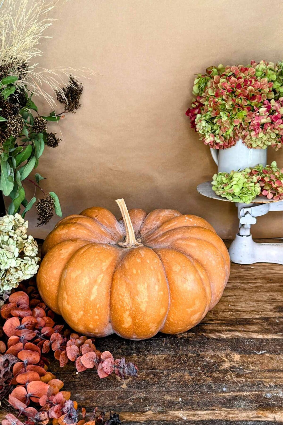 A large orange pumpkin sits on a rustic wooden surface, surrounded by dried flowers and hydrangeas. The background is a plain brown paper, creating a warm, autumnal atmosphere.