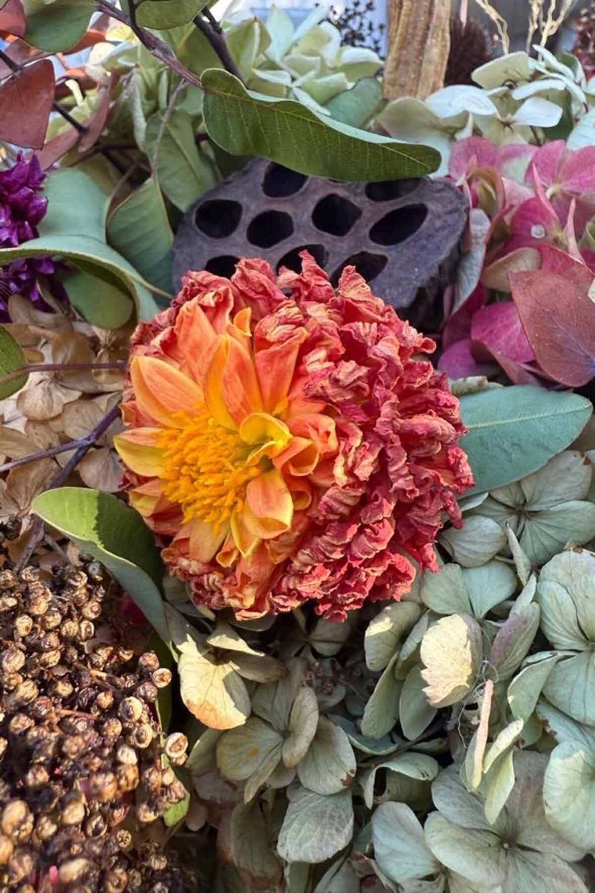 A close-up of a dried, orange-red flower with yellow center surrounded by various dried leaves, seed pods, and pale hydrangea petals in a natural arrangement.