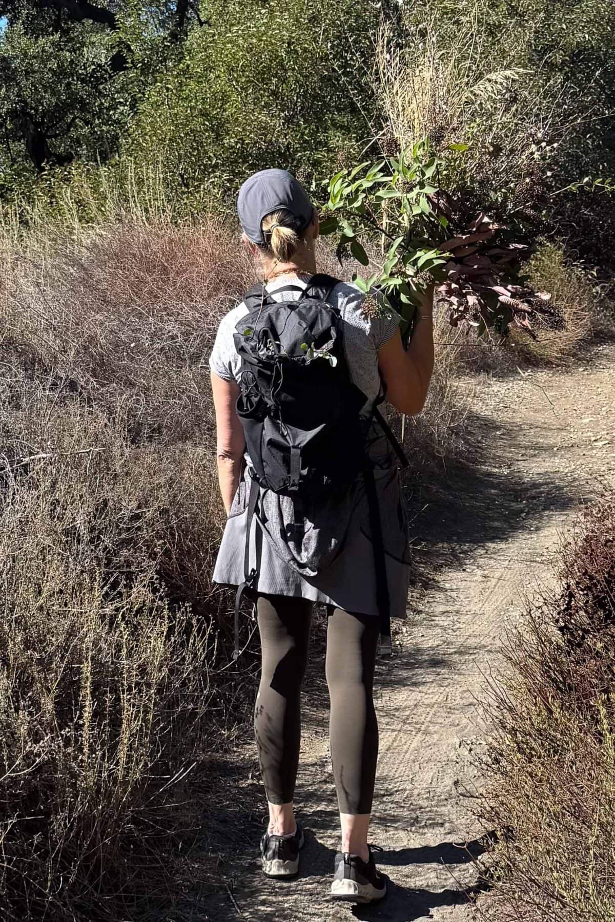 A person wearing a cap, backpack, and athletic clothes walks on a dirt trail through dry brush, carrying a large bundle of plants—perhaps destined to become a dried flower pumpkin centerpiece—over their left shoulder on a sunny day outdoors.