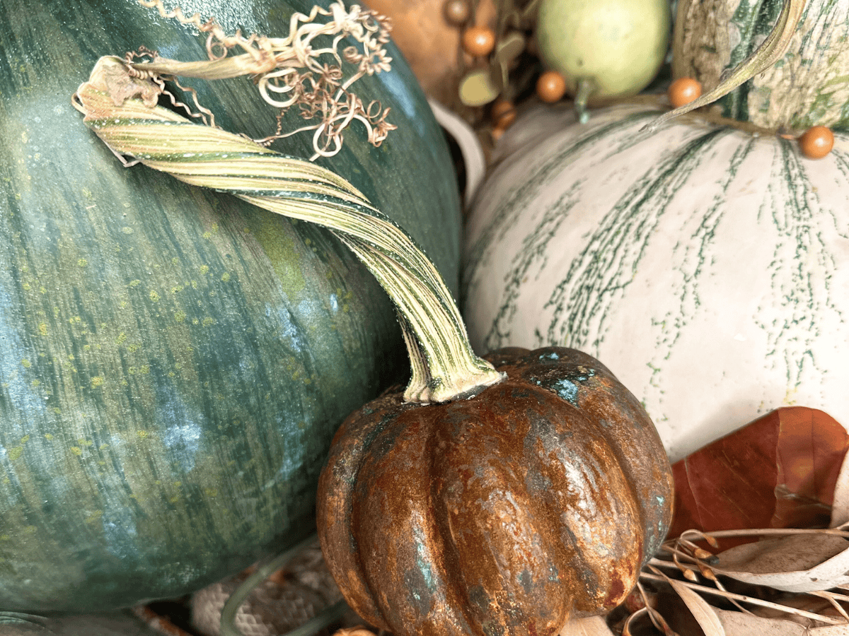 A close-up of assorted gourds and squashes with varied shapes, colors, and textures, including green, white, and brown, surrounded by dried leaves and drying pumpkin stems.