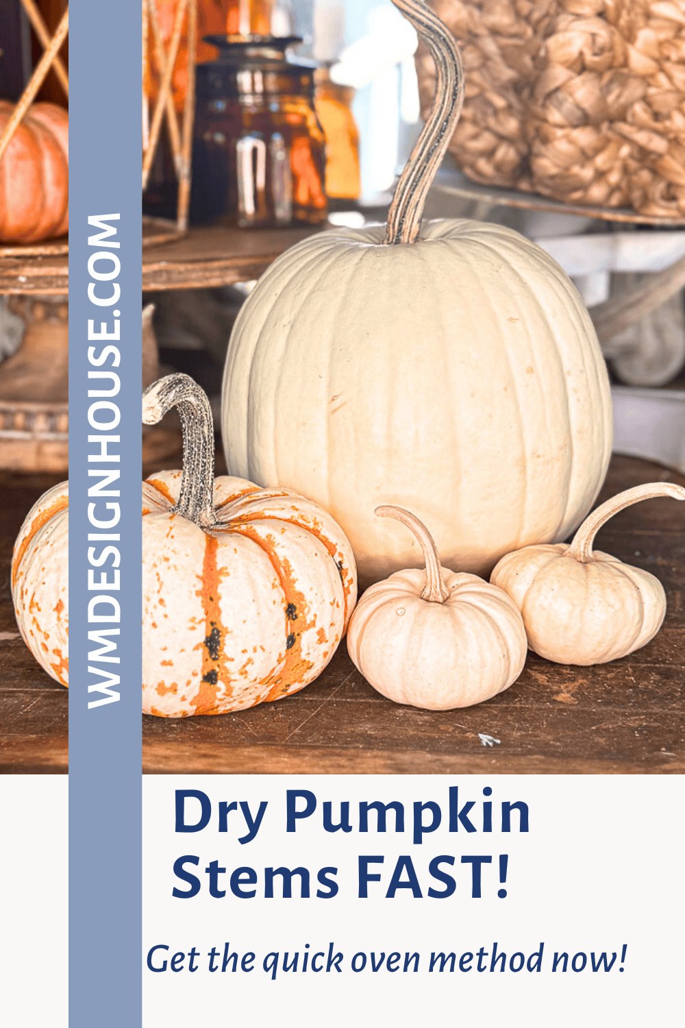 How to dry pumpkinA group of pumpkins with dried pumpkin stems sits on a wooden table. Text on the image reads: "WMDesignHouse.com. How to dry pumpkin stems FAST! Get the quick oven method now!.