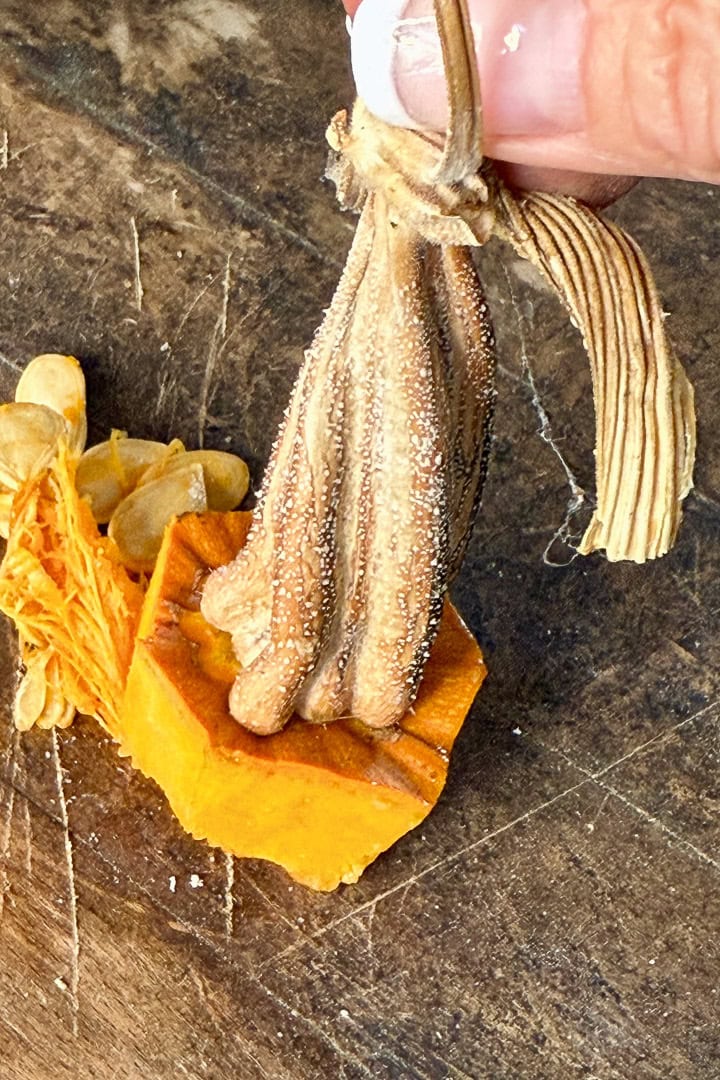 A hand holds the dried stem of a cut-open orange pumpkin on a wooden surface, showing seeds and stringy pulp inside.