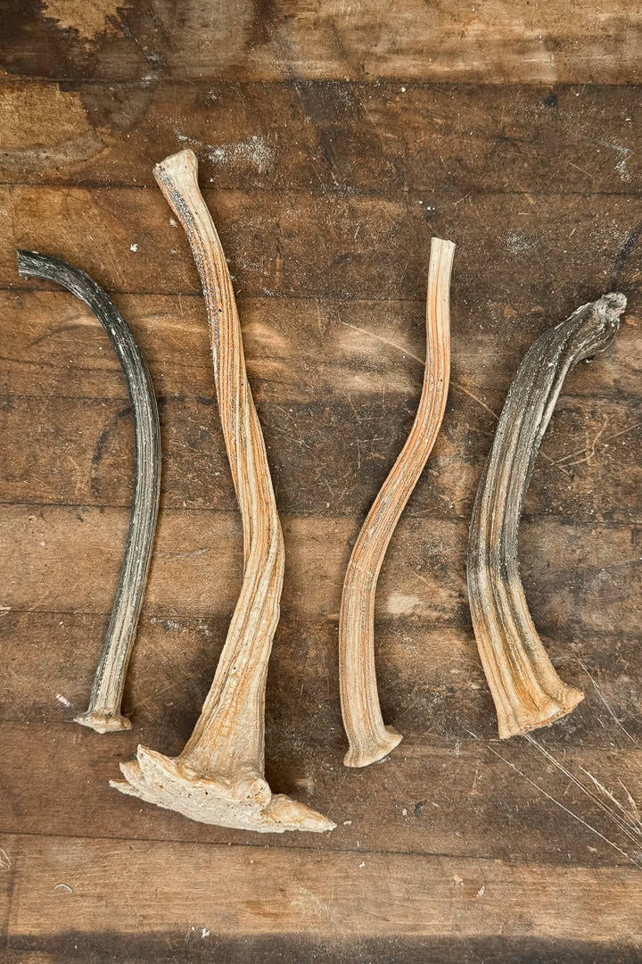 Four dried, elongated mushroom stems with ribbed textures are arranged parallel on a rustic wooden surface. The stems vary in color from pale beige to dark brown and have slightly curved, irregular shapes.