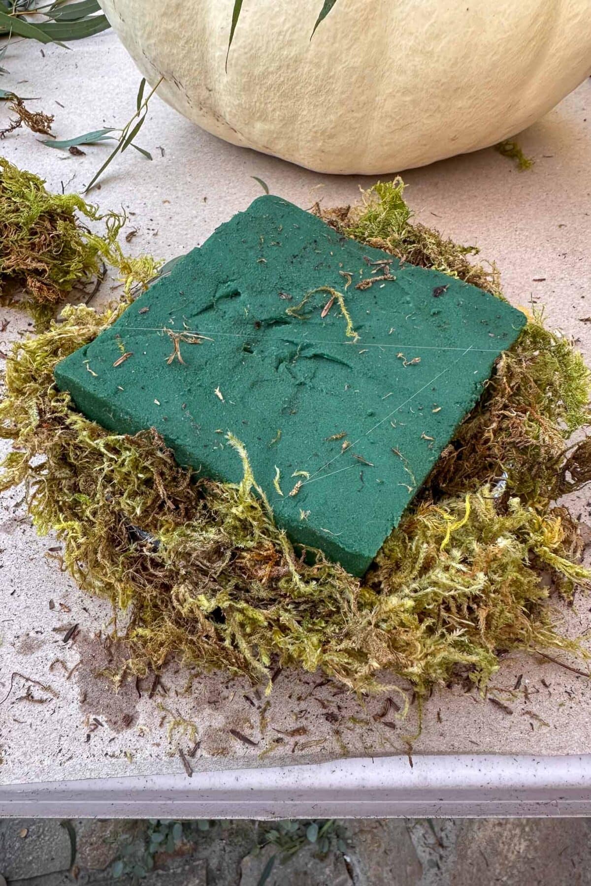 A square block of green floral foam sits on a bed of dried moss atop a table, with plant debris scattered around and part of a white pumpkin visible in the background.