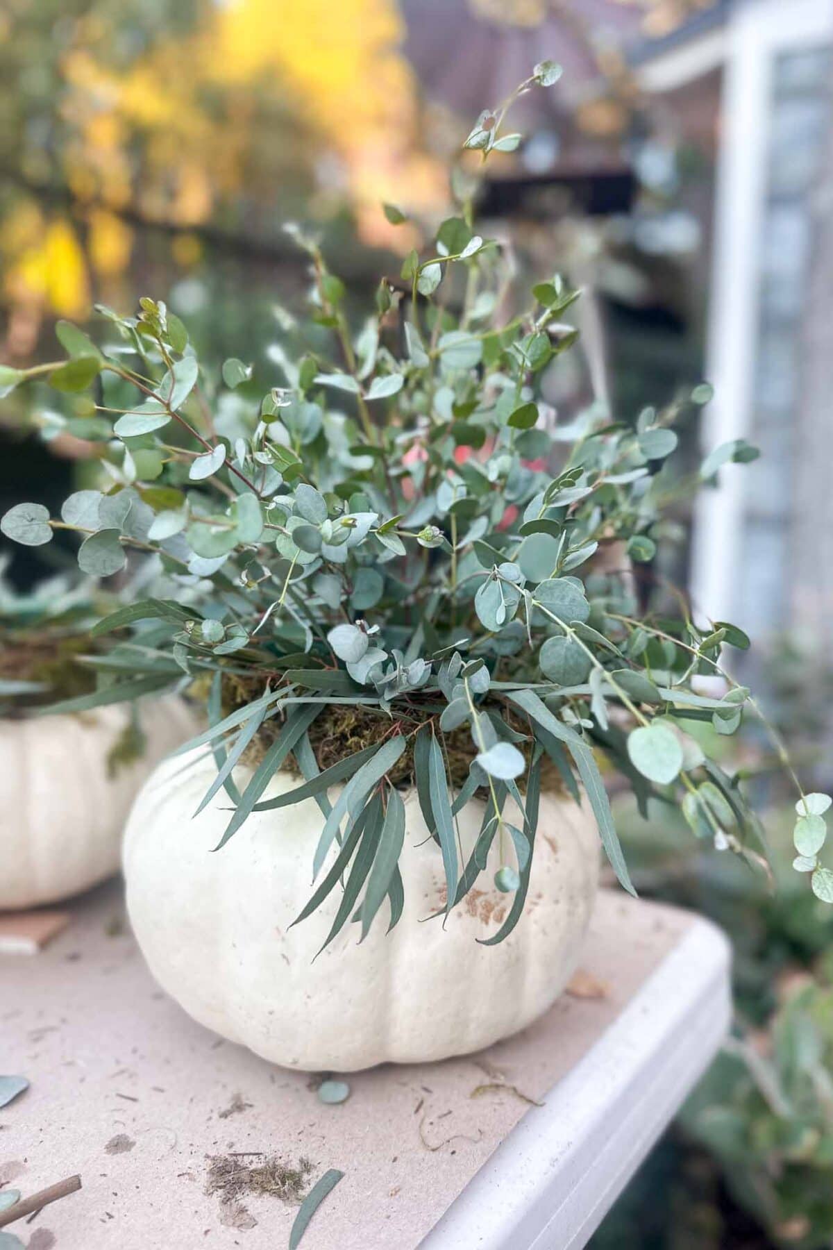 A white pumpkin hollowed out and used as a planter, filled with green leafy eucalyptus branches, sits on an outdoor table with blurred foliage and another pumpkin in the background.