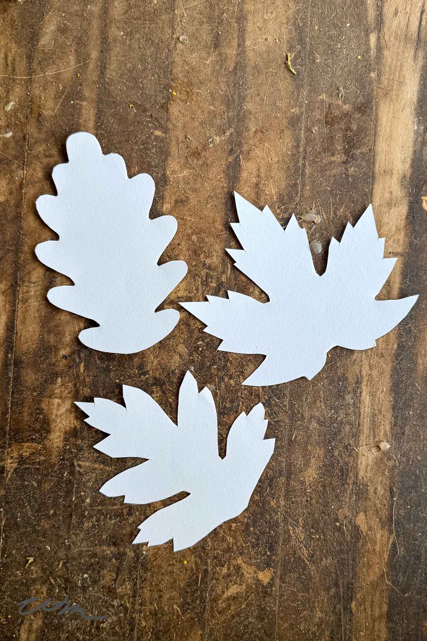 Three white paper cutouts shaped like different types of leaves are arranged on a rustic wooden surface.